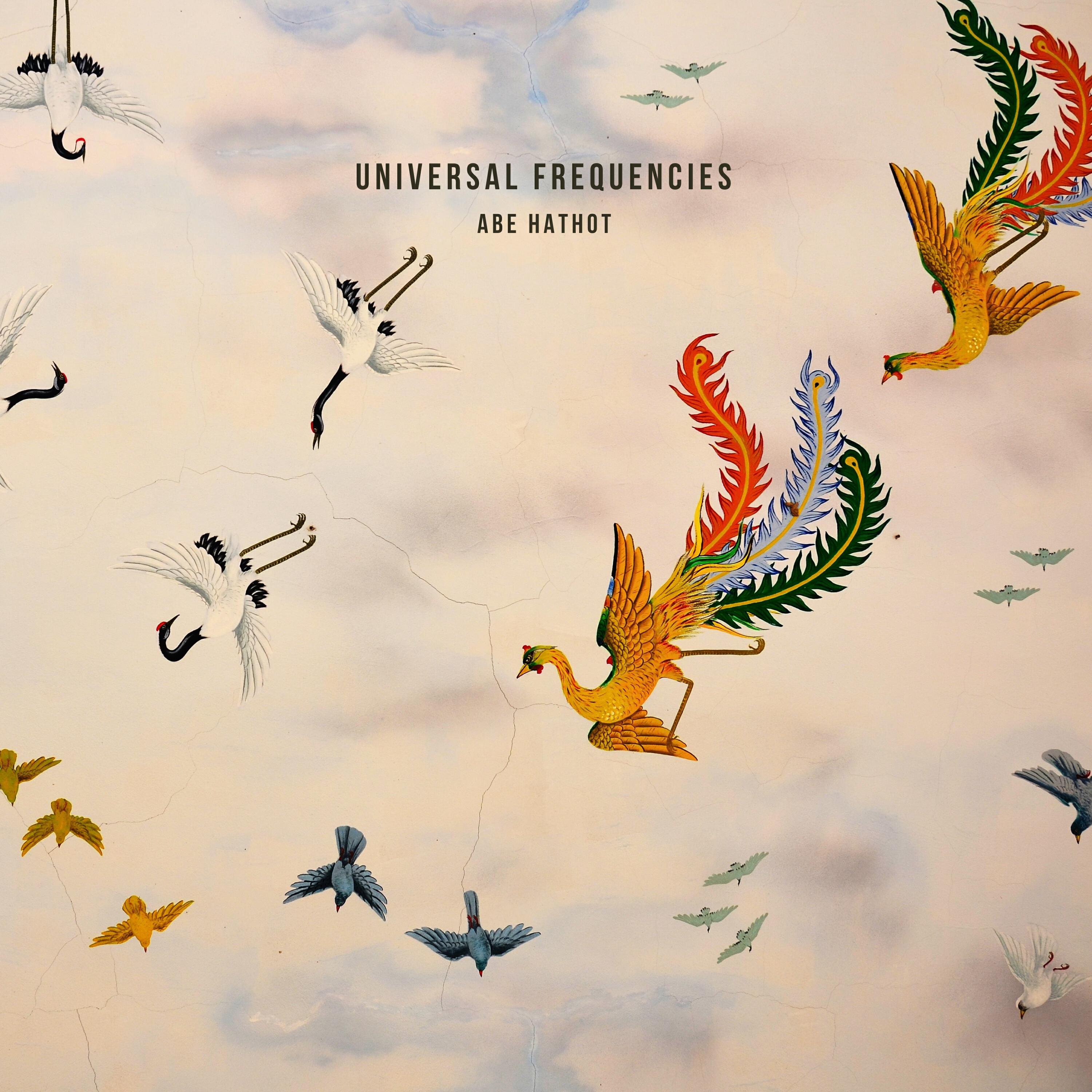 Релиз Universal Frequencies