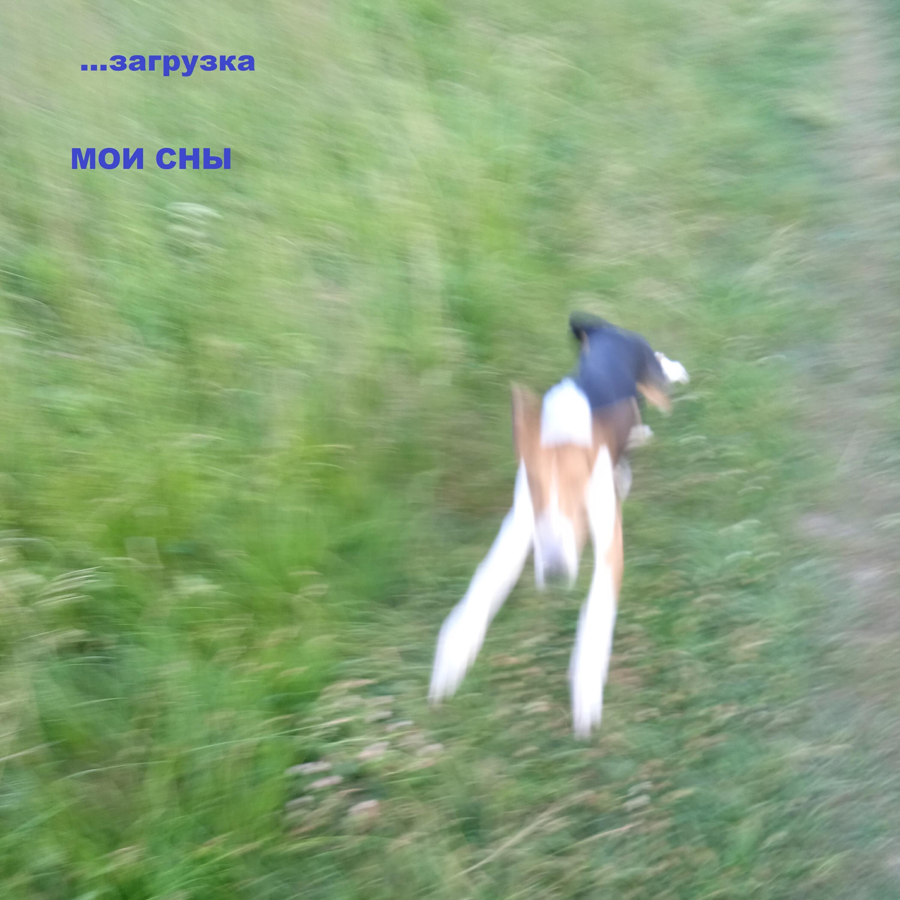 Релиз Мои сны
