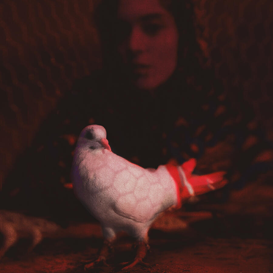 Волна по релизу