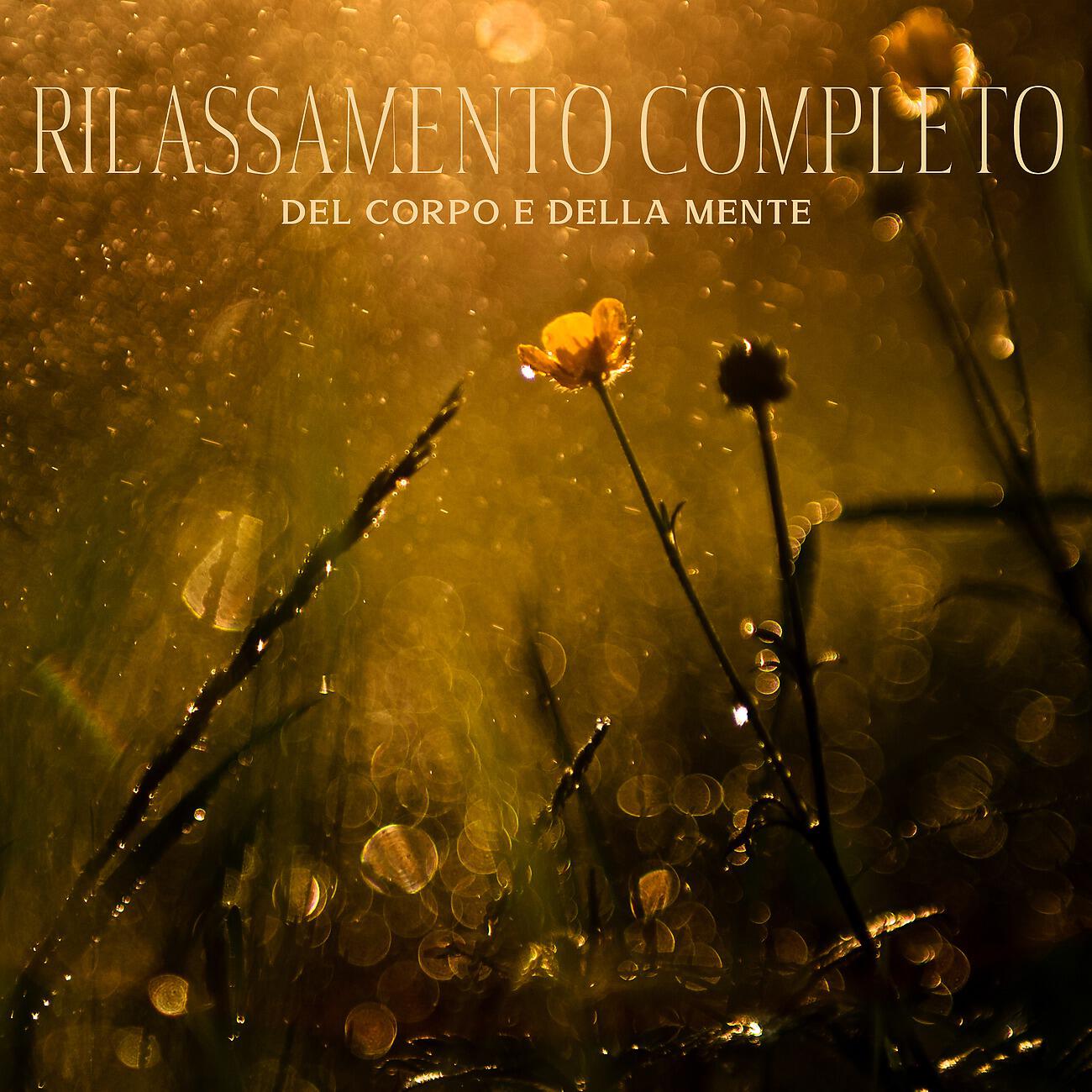 Постер альбома Rilassamento completo del corpo e della mente - Meditazione con i suoni della natura per dormire e alleviare lo stress, Pace e relax zen