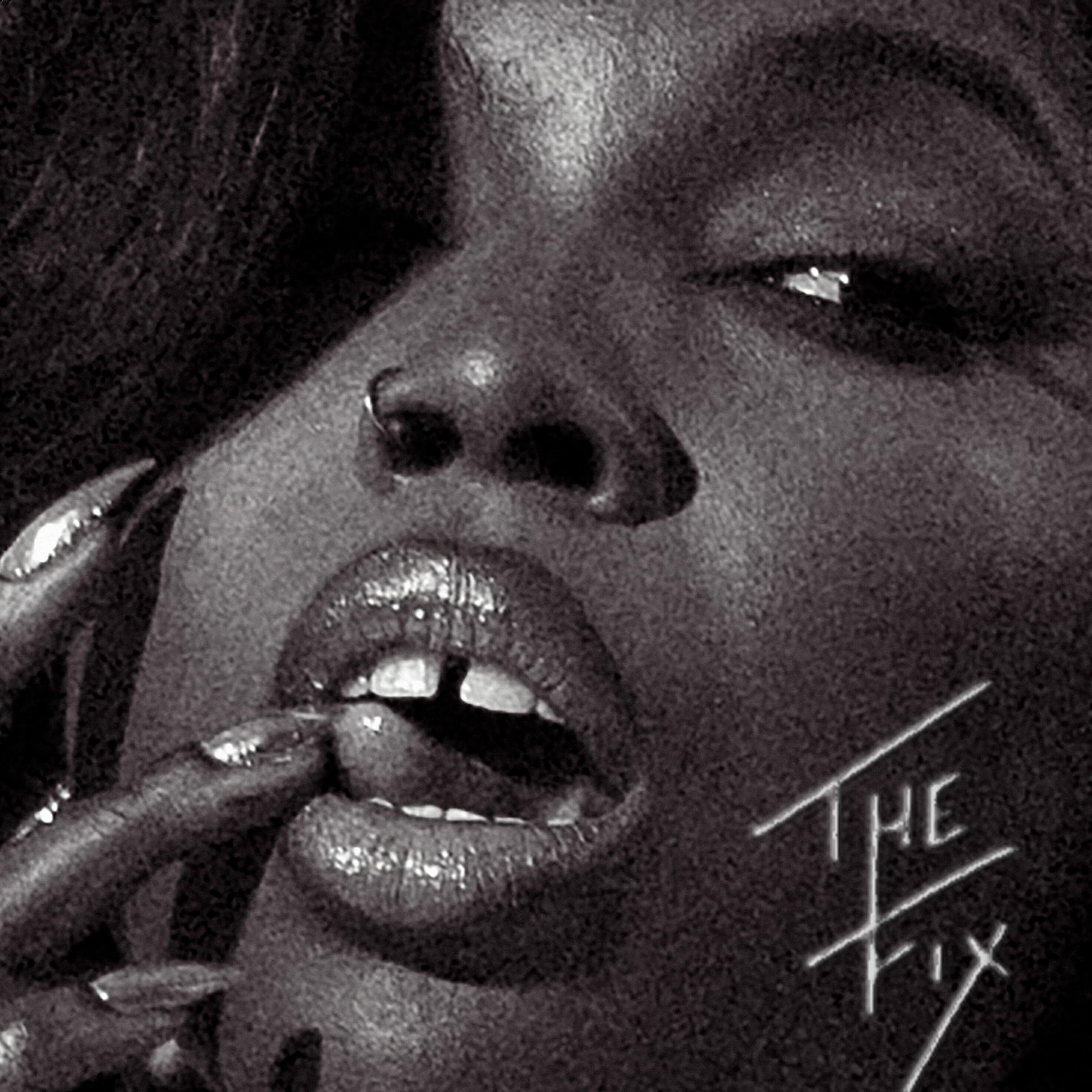 Релиз The Fix