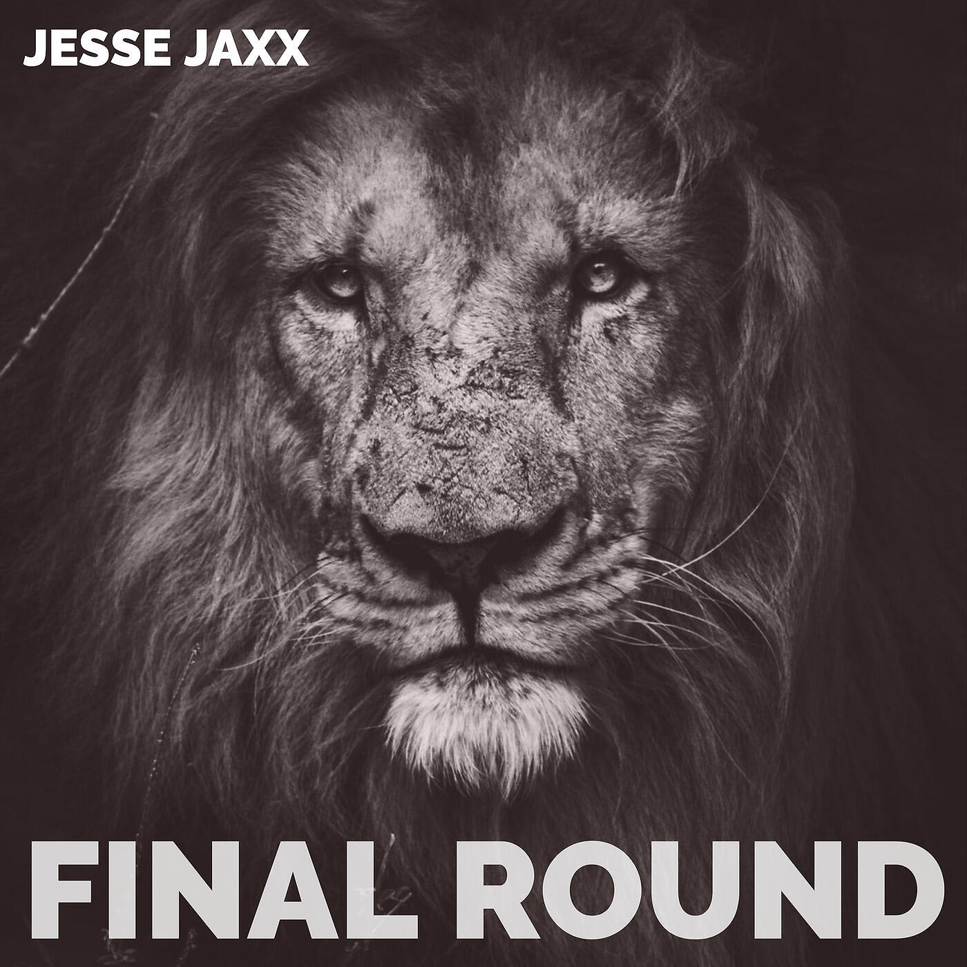 Релиз Final Round