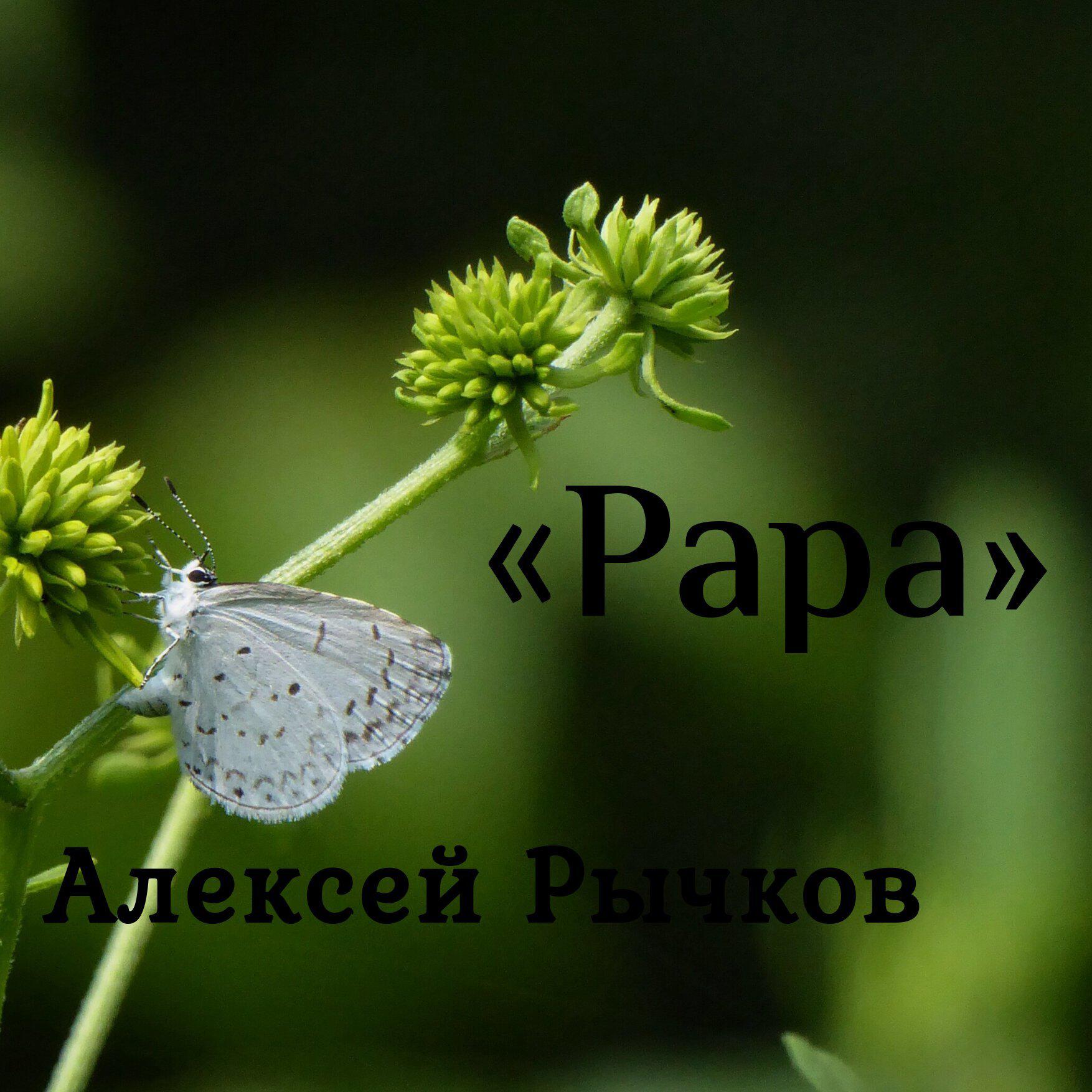 Релиз Papa