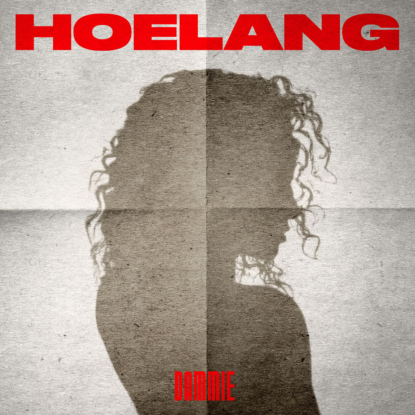 Постер альбома Hoelang