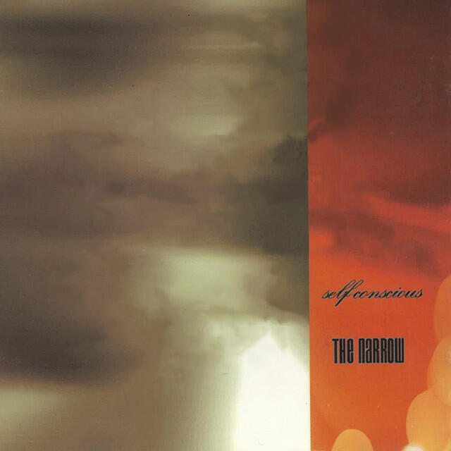 Релиз Selfconcious