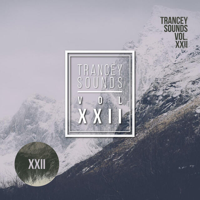 Трек Enjoy The Silence Feat. Randi Soyland - Shlomi Levi Rework