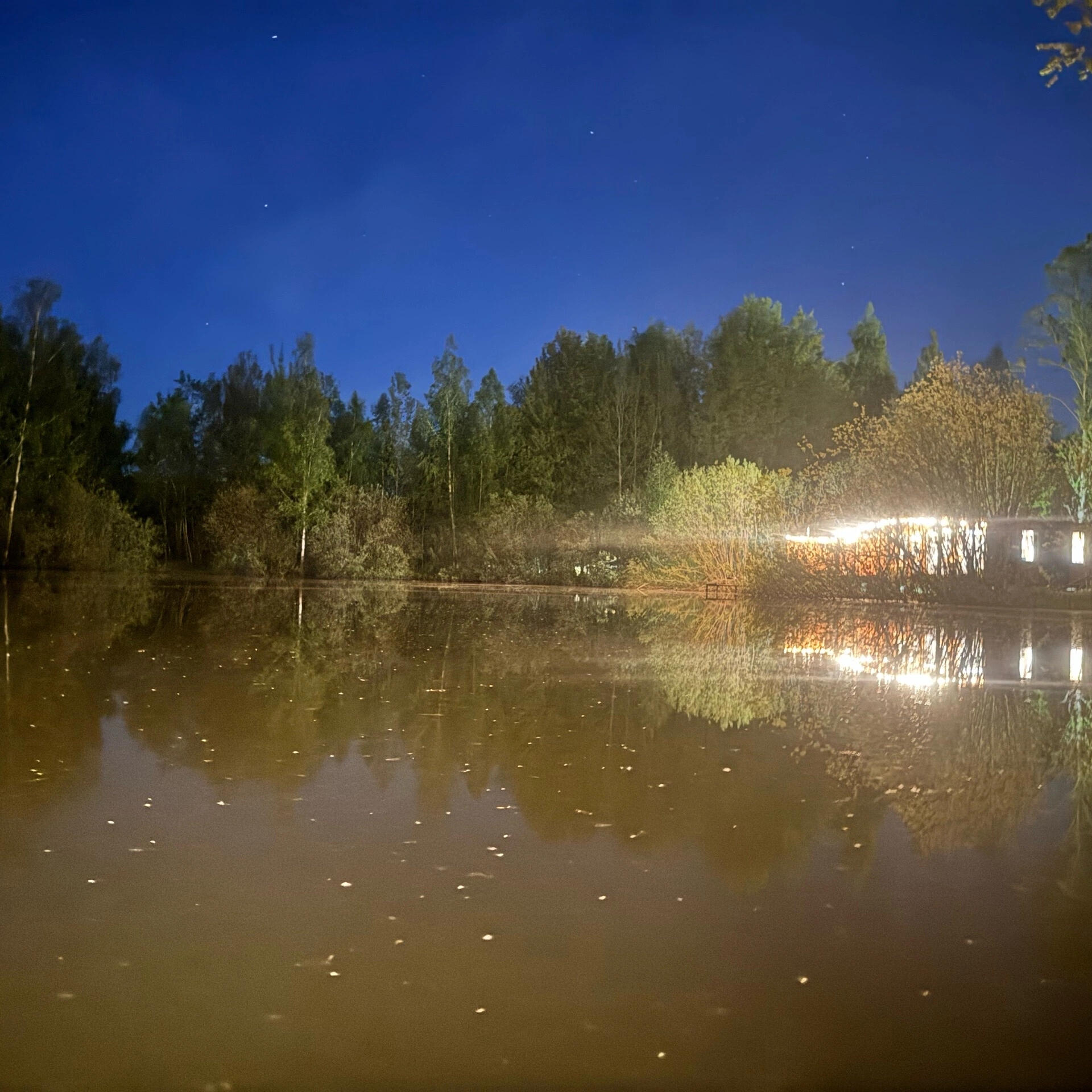 Релиз Родное