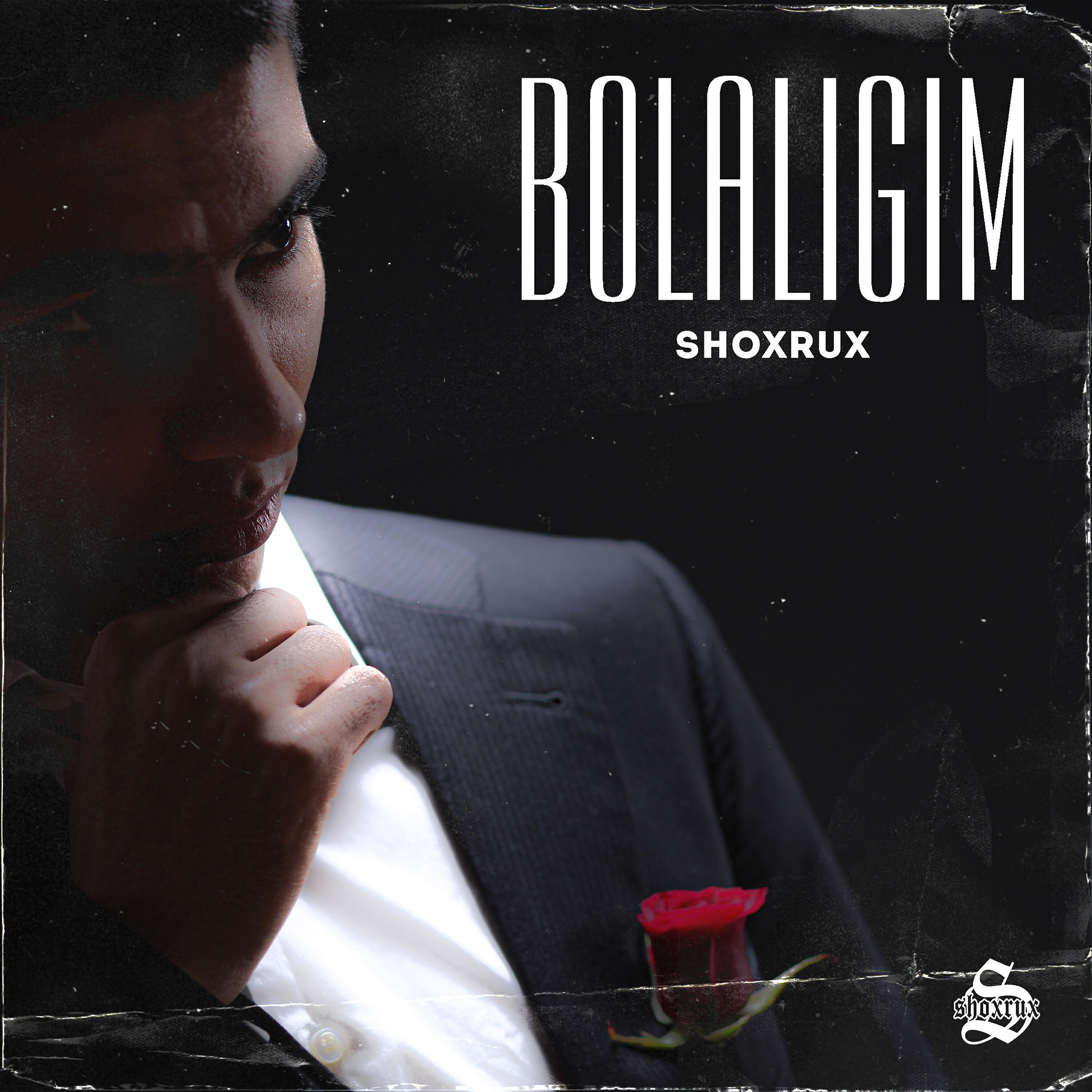 Постер альбома Bolaligim