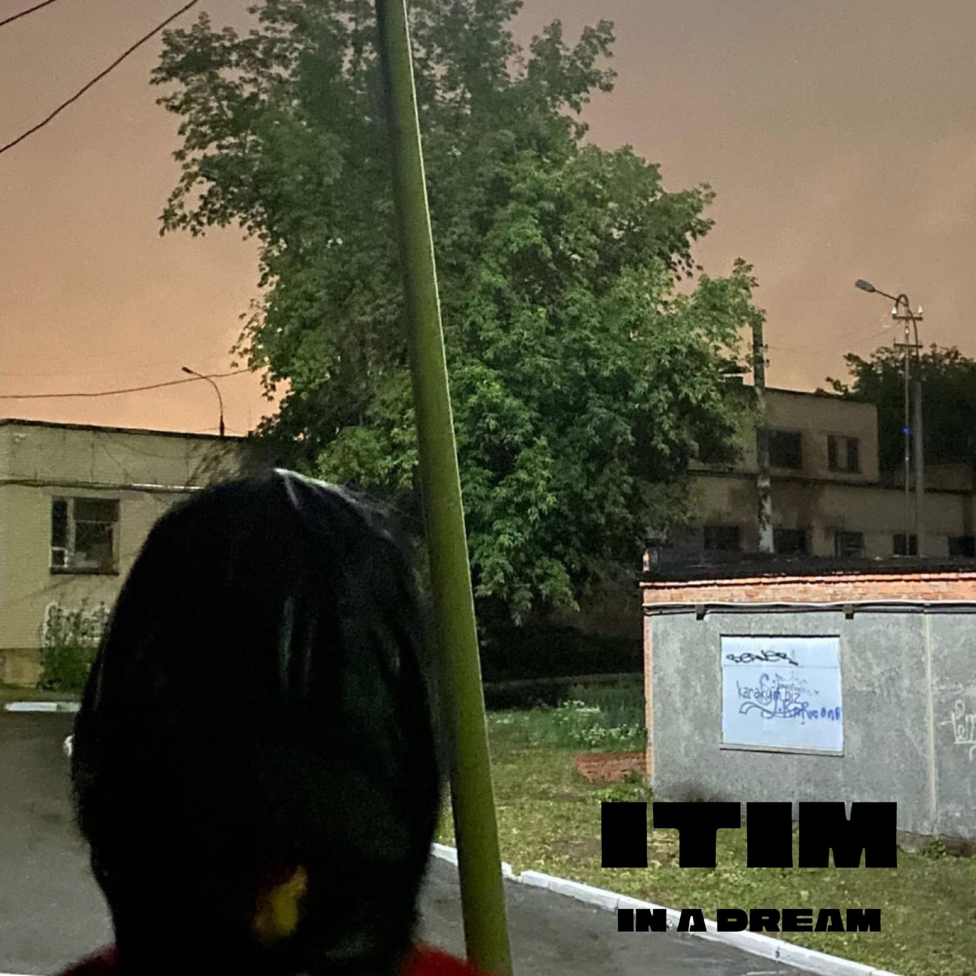 Релиз In a Dream