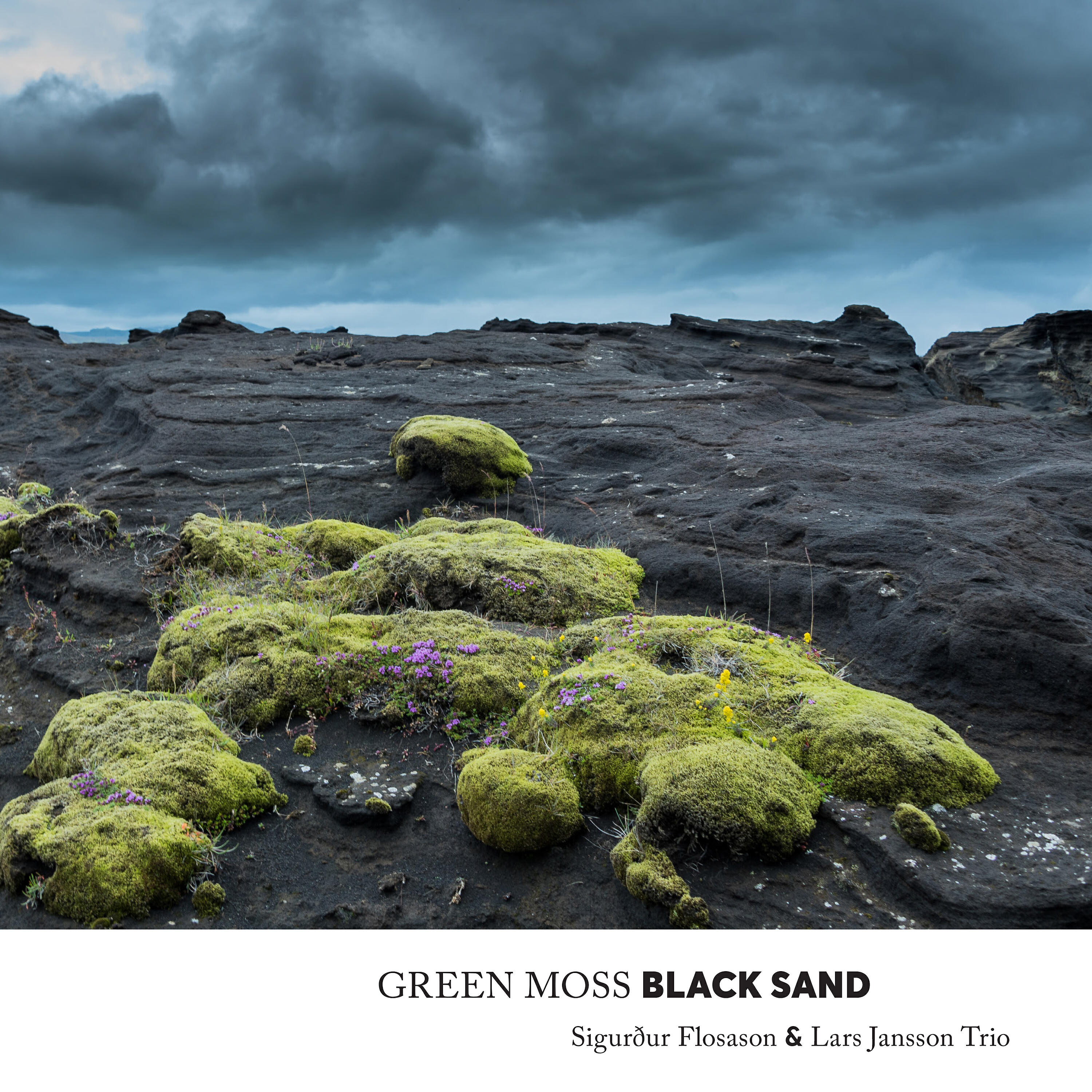 Релиз Green Moss Black Sand