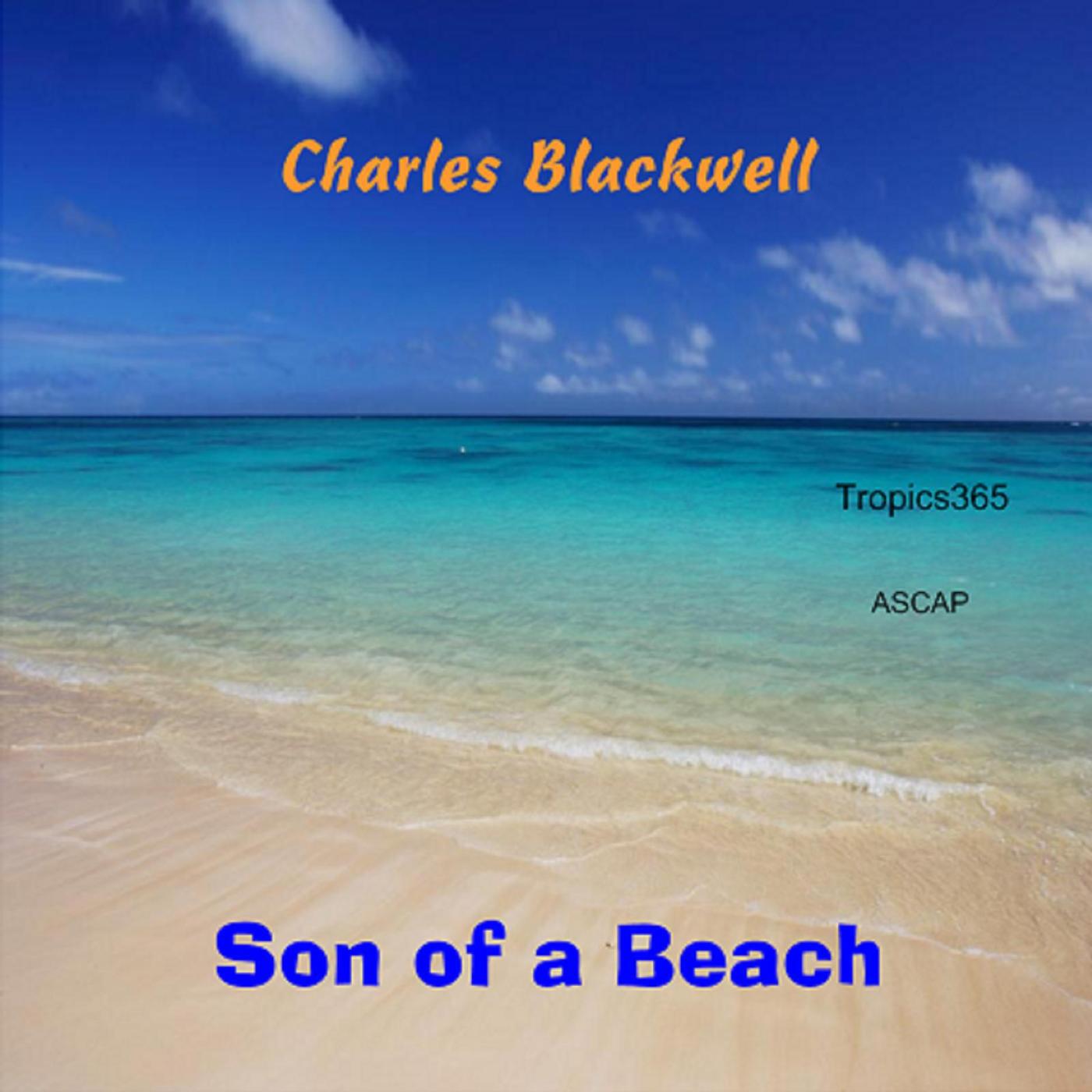 Релиз Son of a Beach