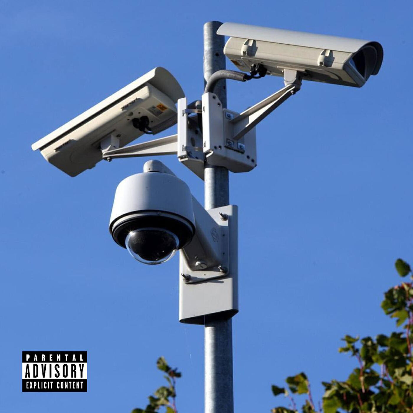 Релиз CAMERAS