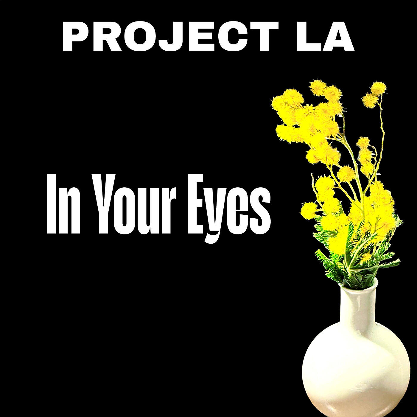 Релиз In Your Eyes