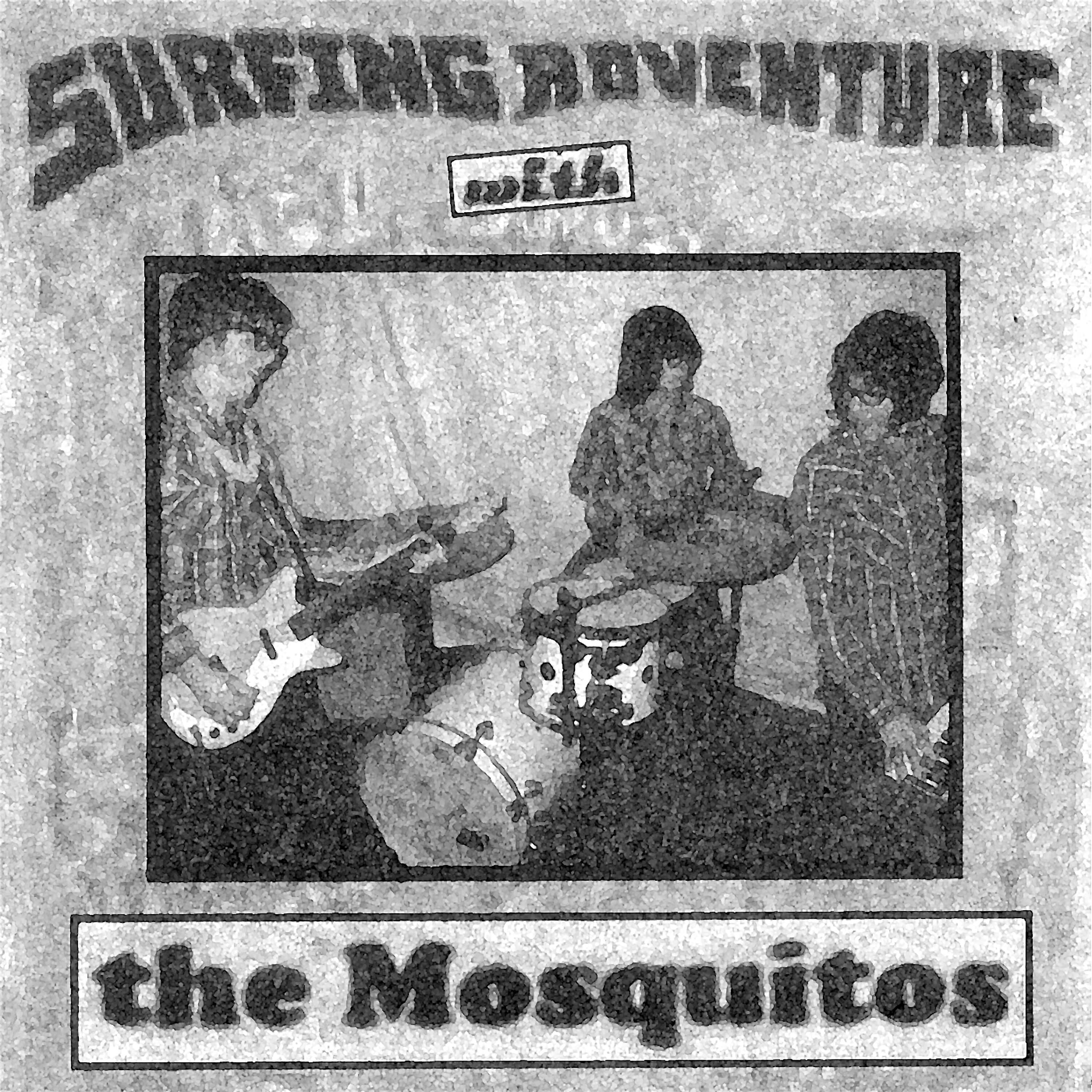 Релиз Surfing Adventure