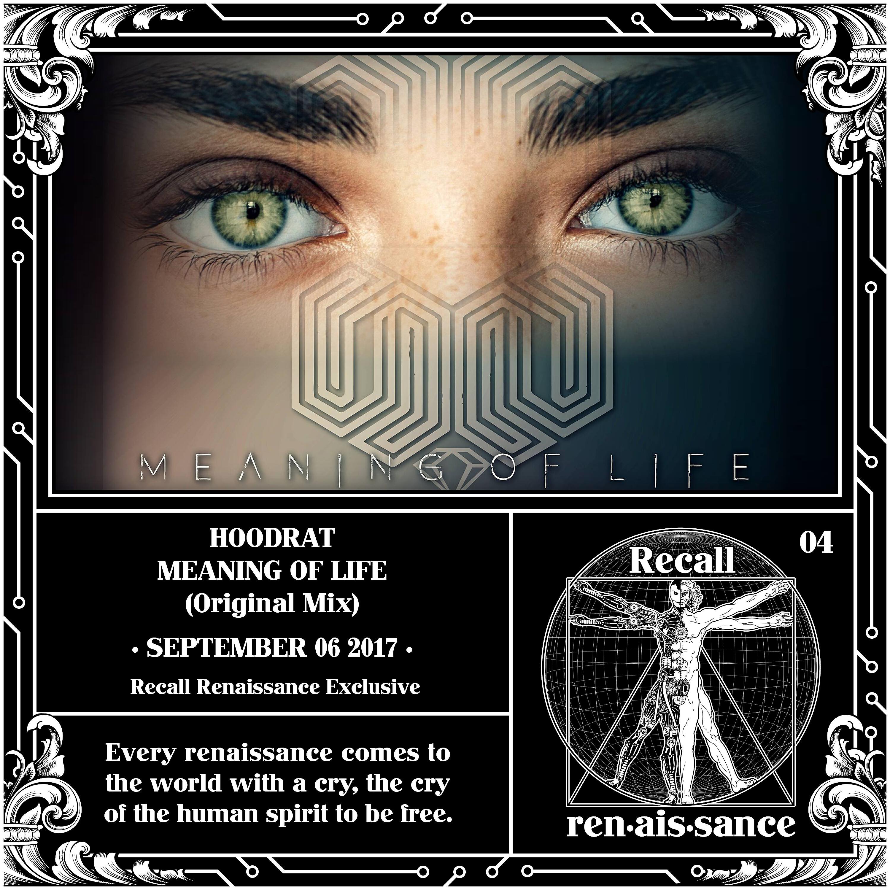Релиз Meaning of Life