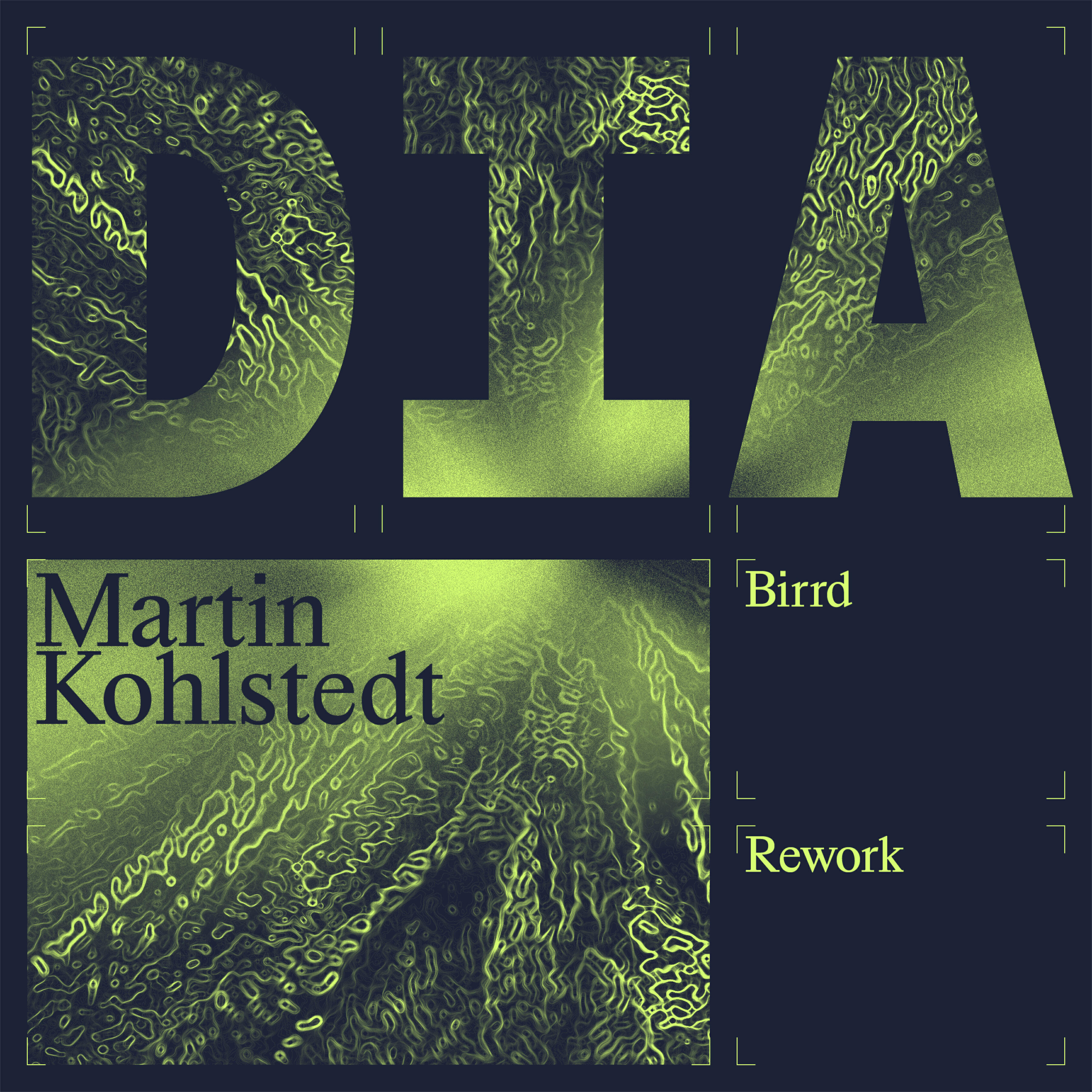 Релиз DIA (Birrd Rework)