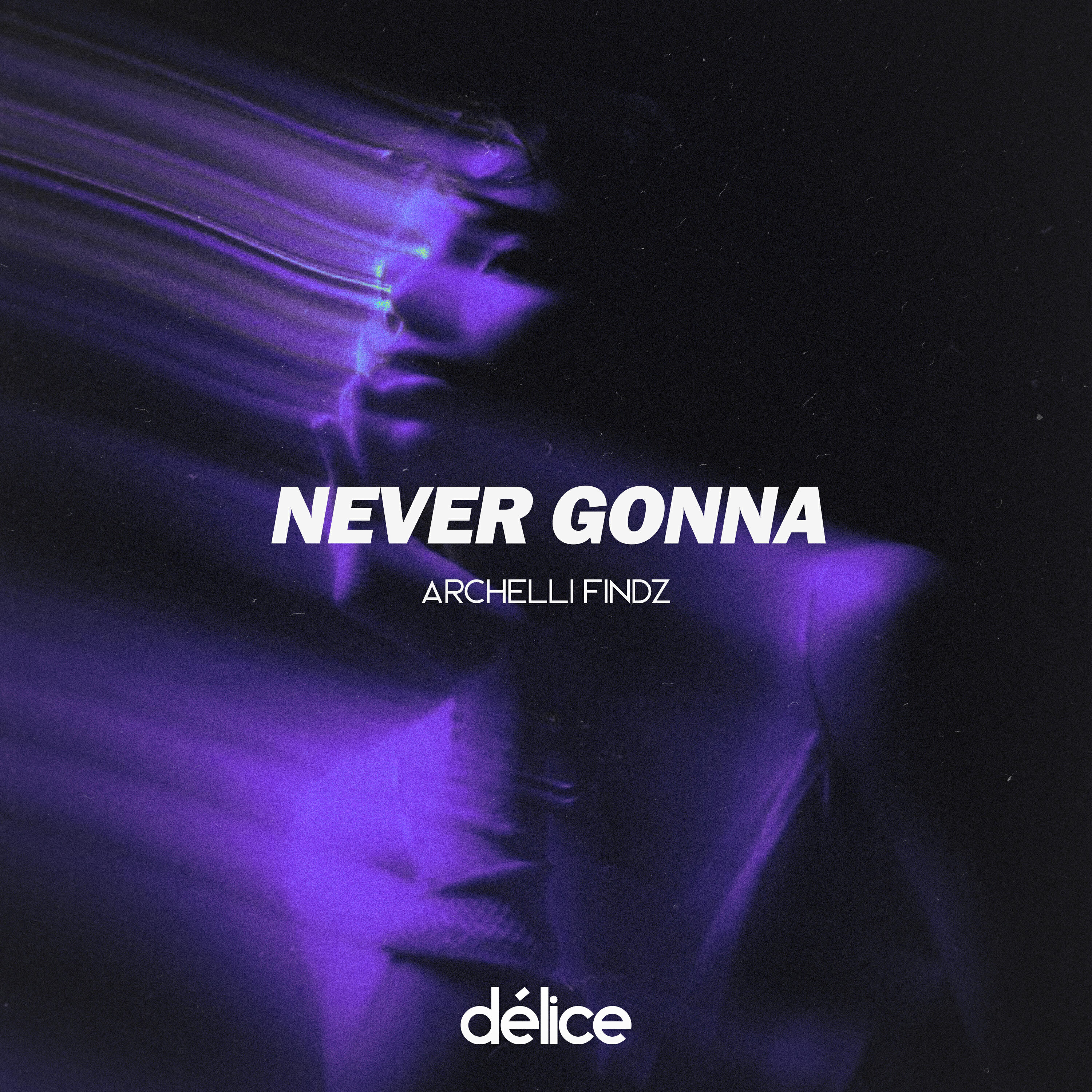 Релиз Never Gonna