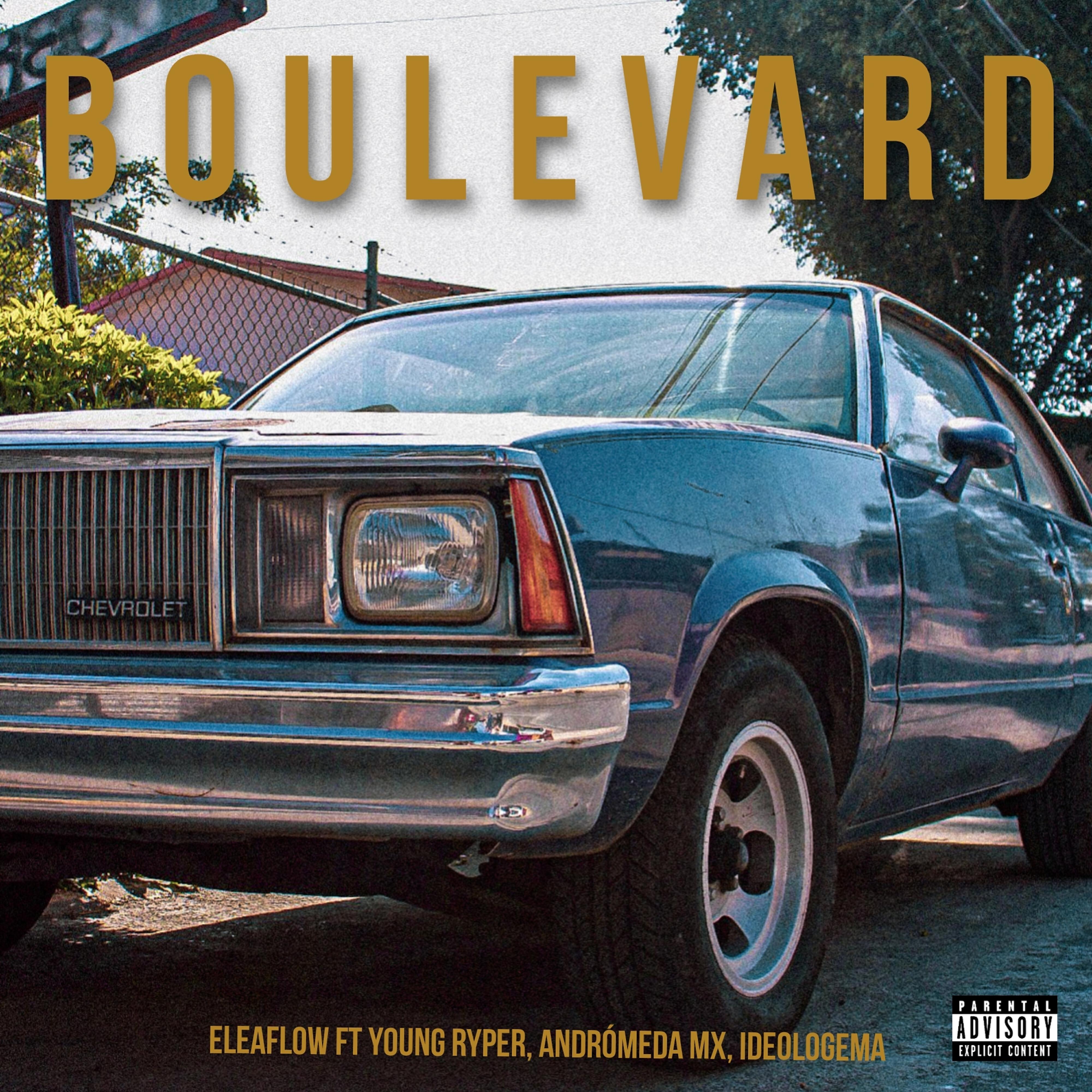 Релиз Boulevard