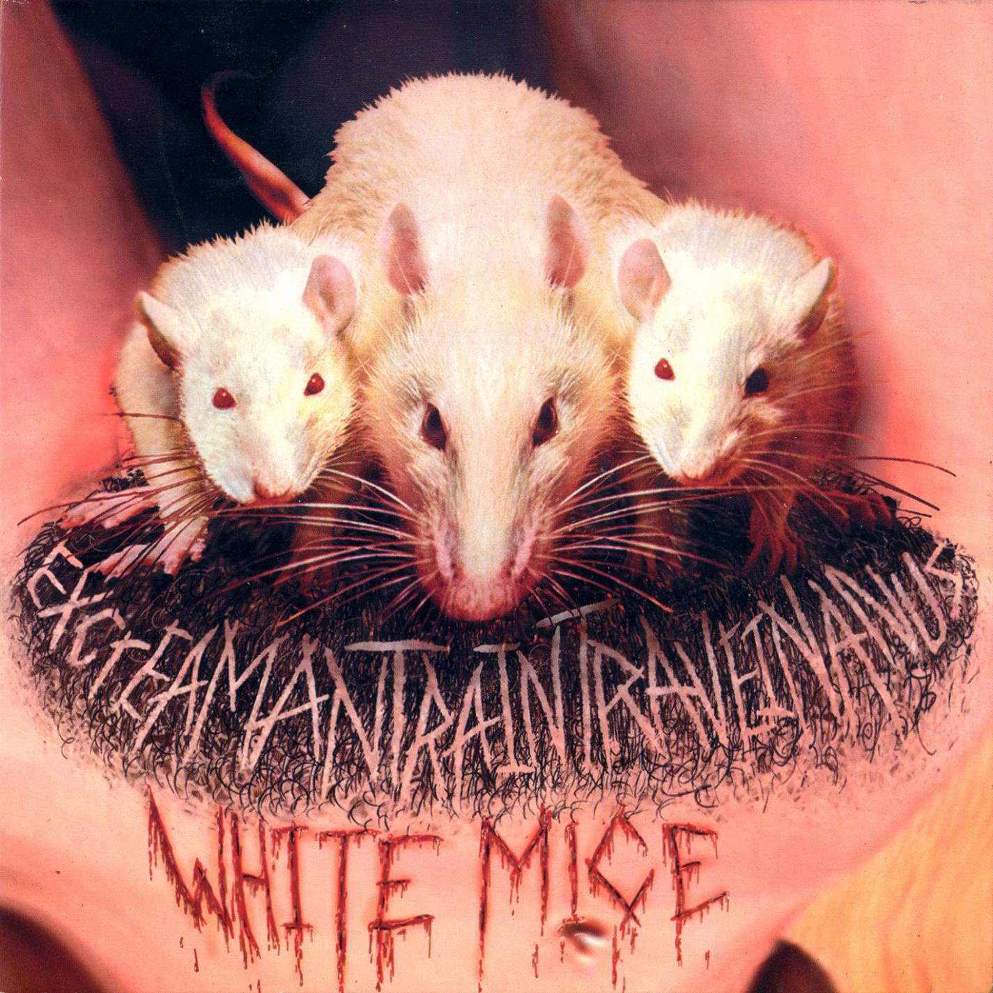 Релиз ExCreaMantraIntraVeinanus