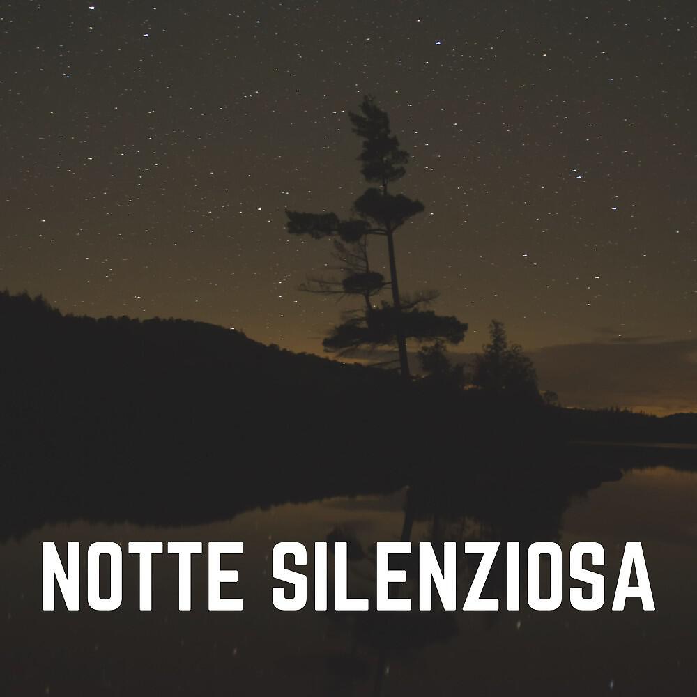 Релиз Notte Silenziosa