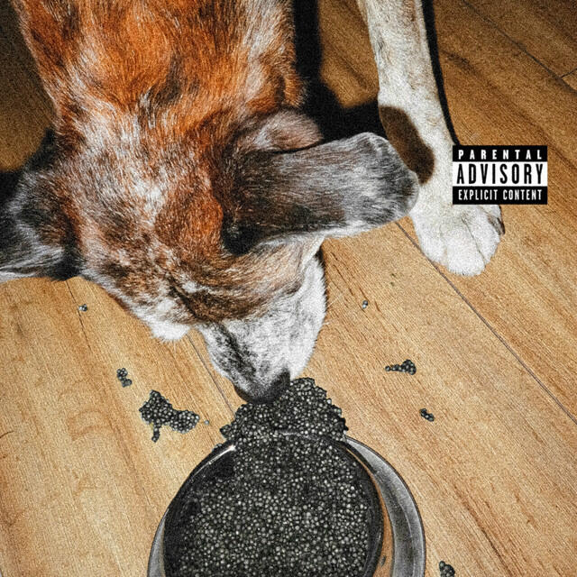 Релиз Du caviar pour mon chien
