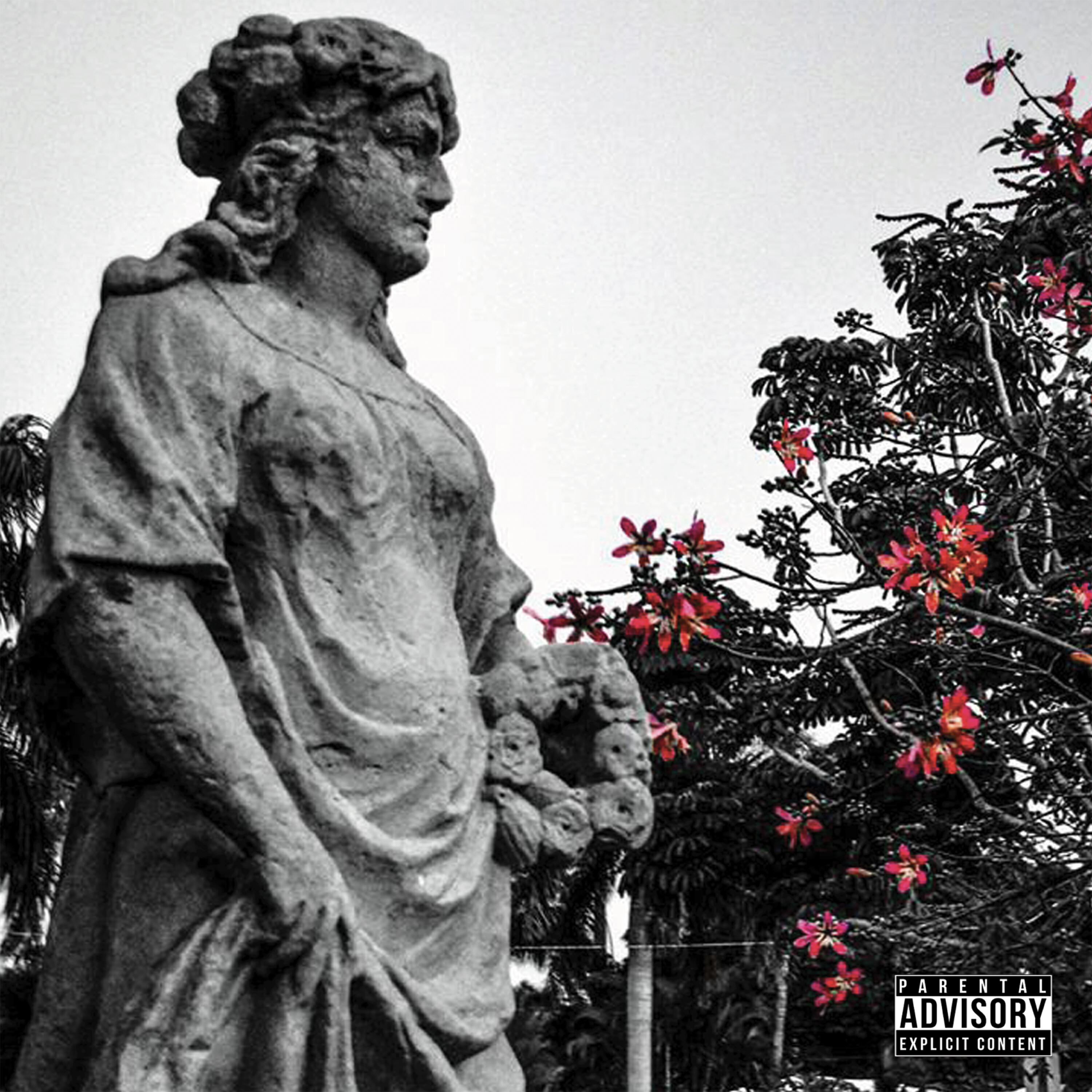 Релиз Carved From Stone