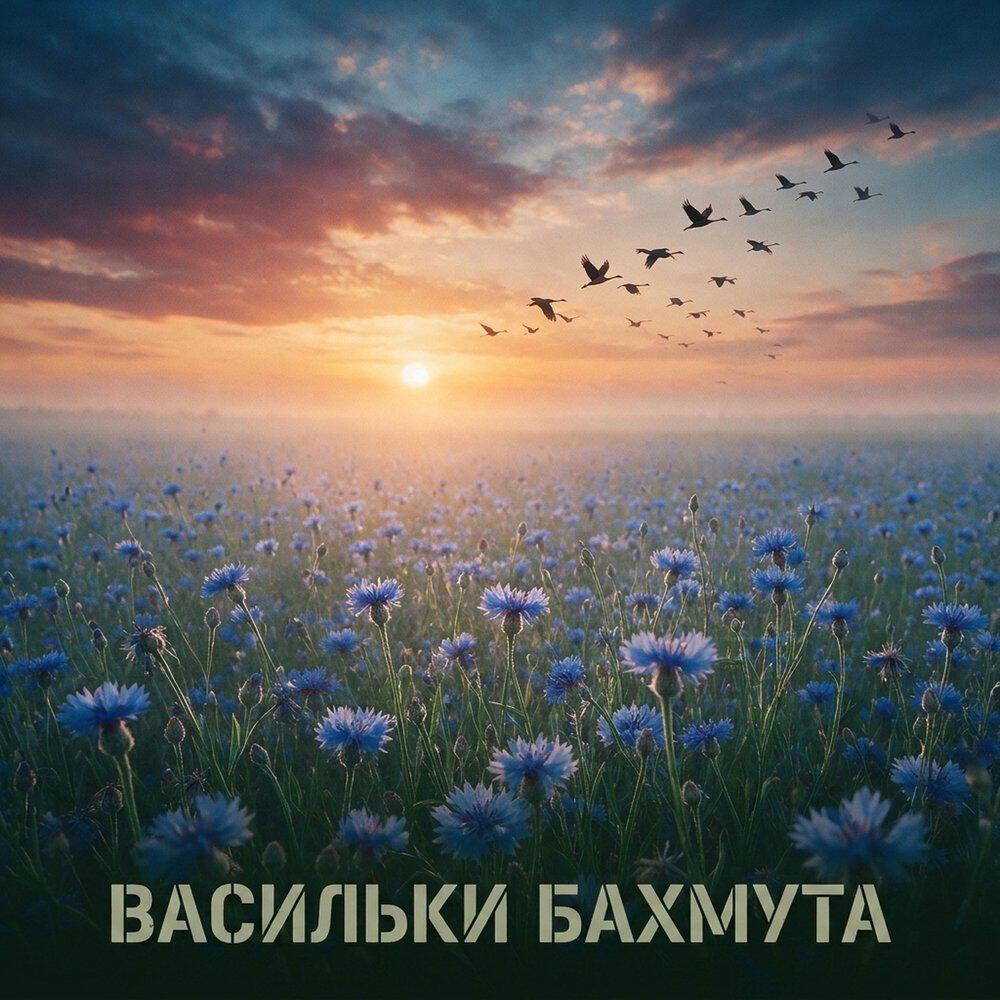 Релиз Васильки Бахмута
