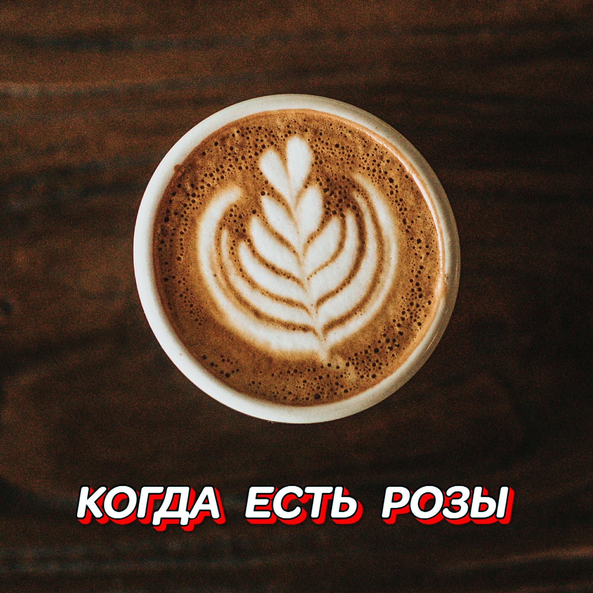 Релиз КОГДА ЕСТЬ РОЗЫ