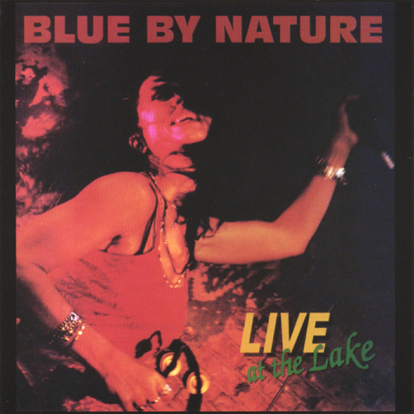 Релиз Live at the Lake