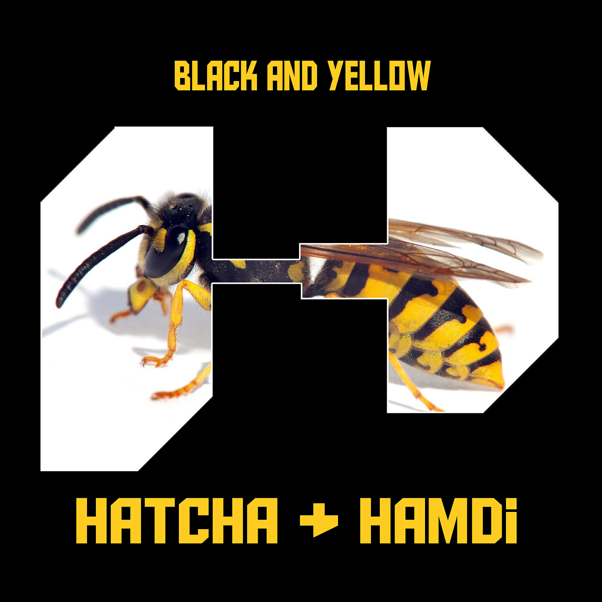 Релиз Black and Yellow