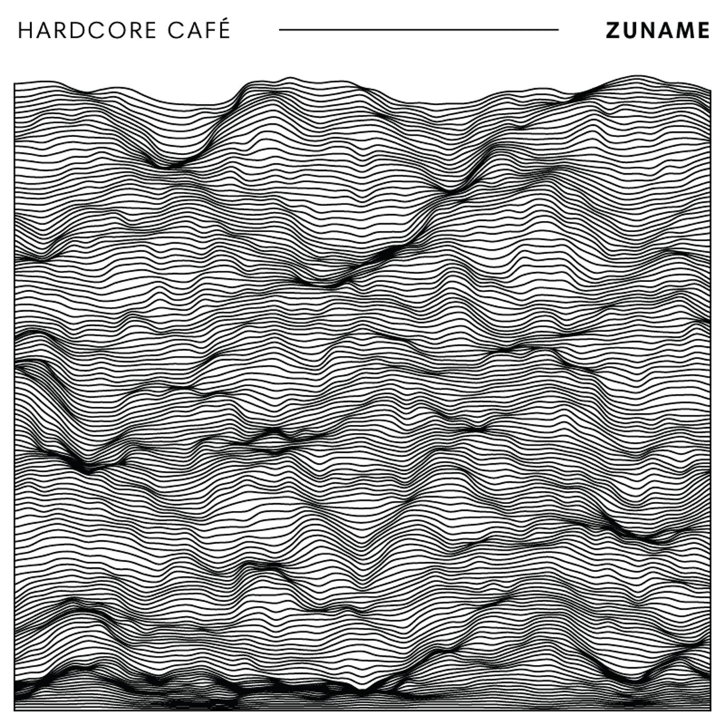 Релиз Zuname