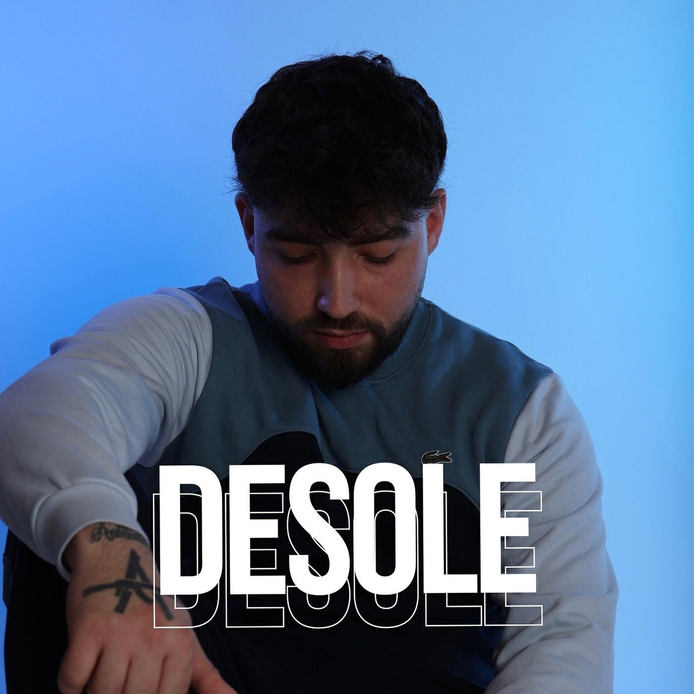 Релиз Desole