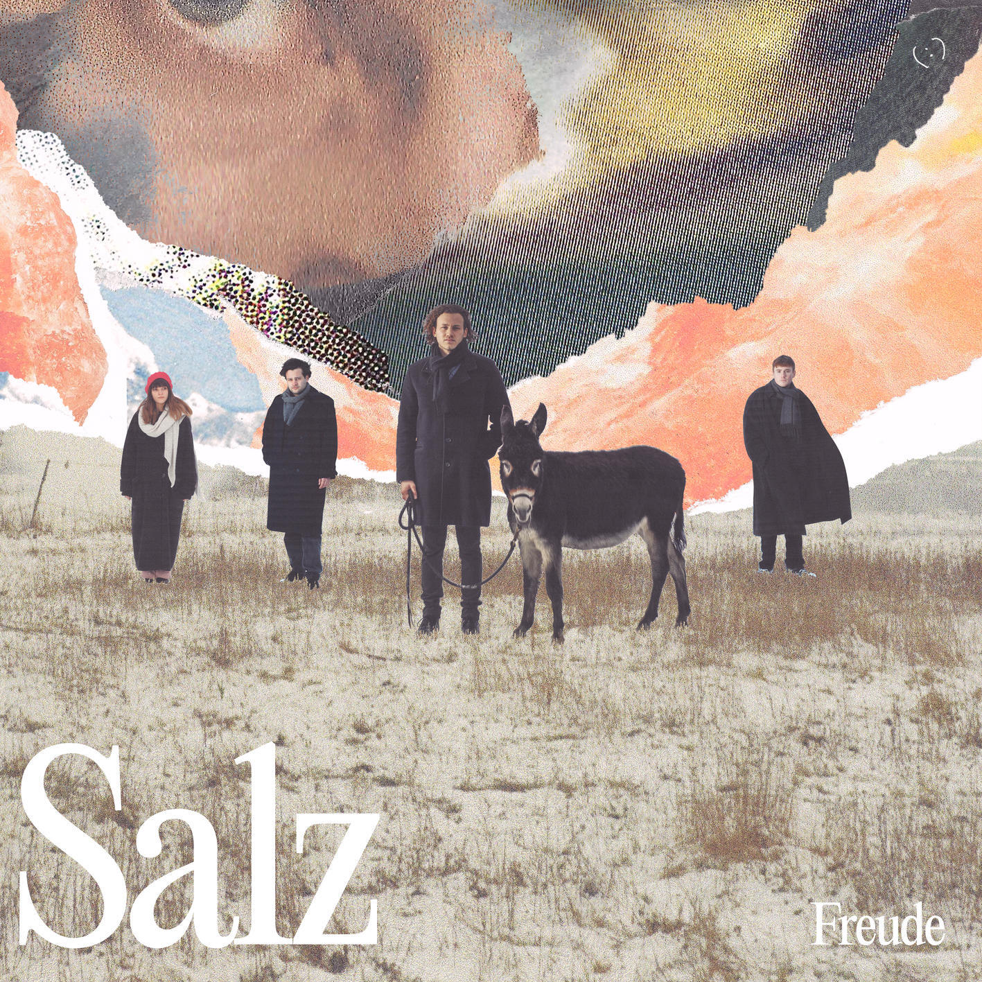 Релиз Salz
