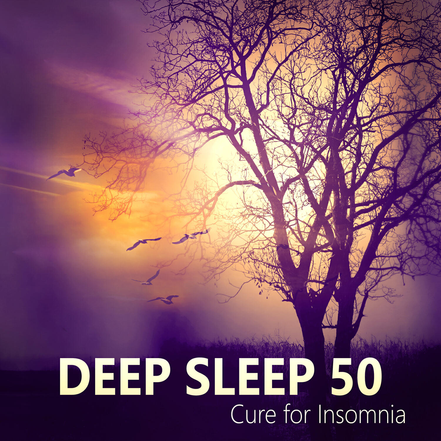Релиз Deep Sleep 50: Cure for Insomnia, Music for the Treatment of Sleep Disorders, Sleeping Songs to Quieten & Relax
