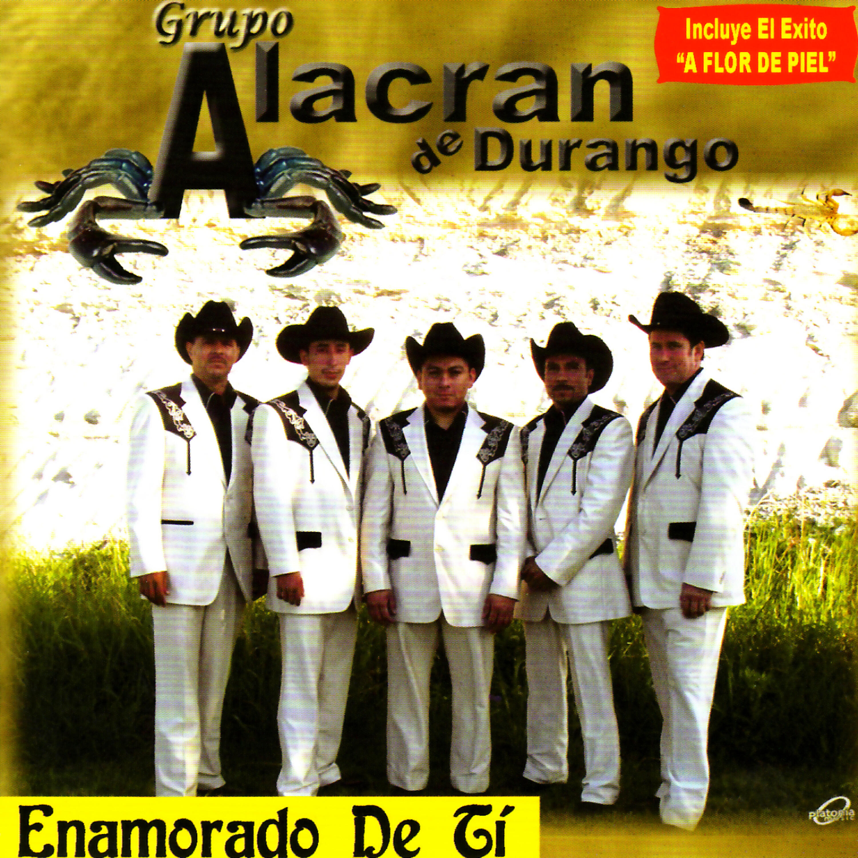 Релиз Enamorado de Ti