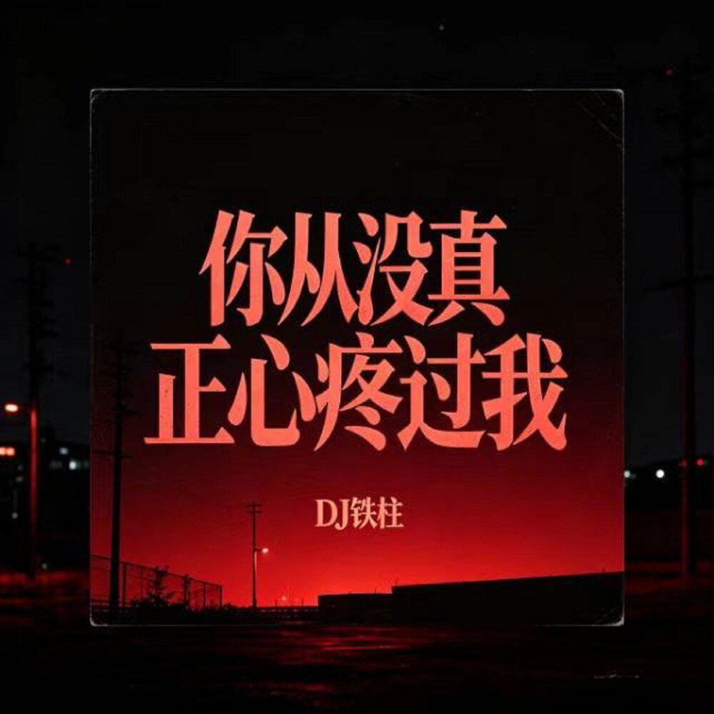 Релиз 你从没真正心疼过我