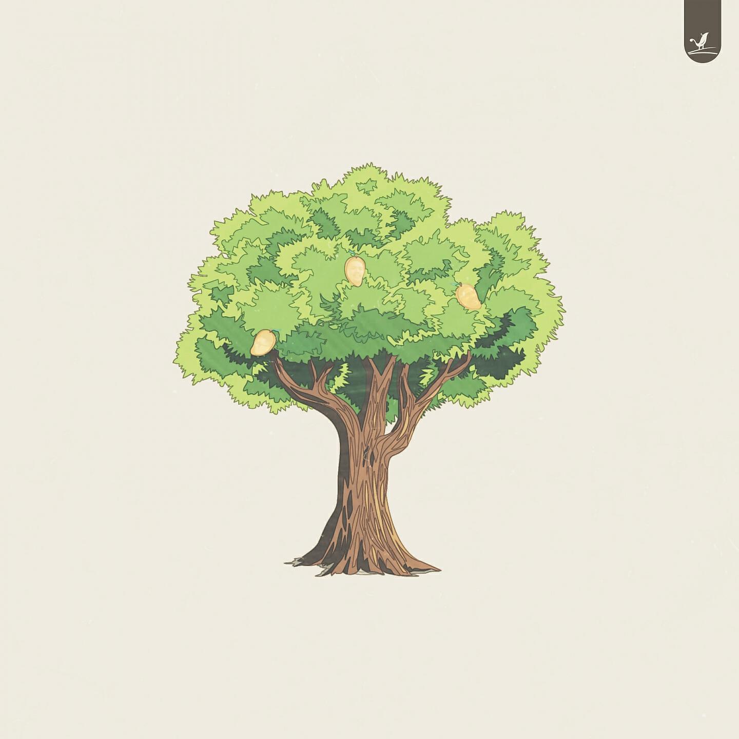 Релиз Mango Tree