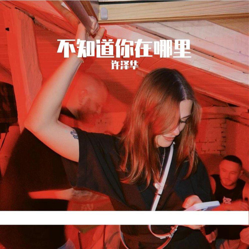 许泽华