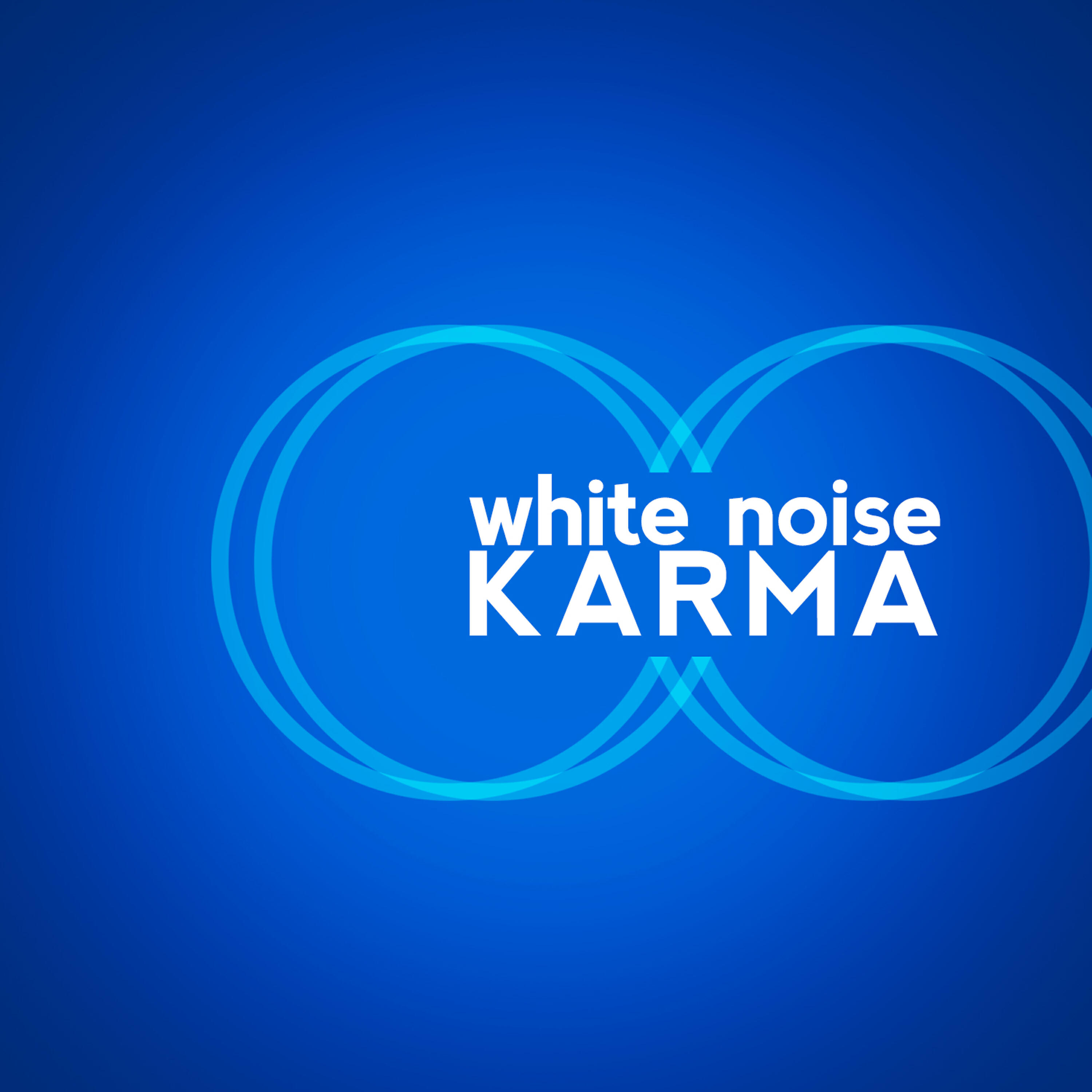 Постер альбома White Noise: Karma
