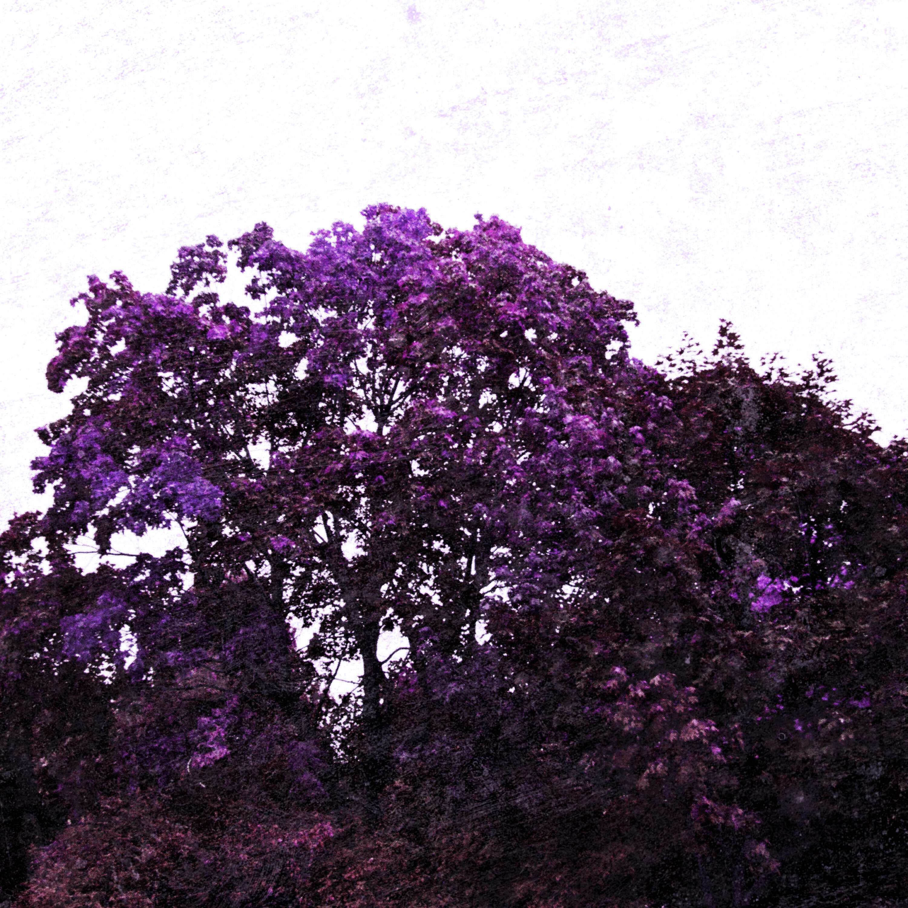 Релиз Second Sun