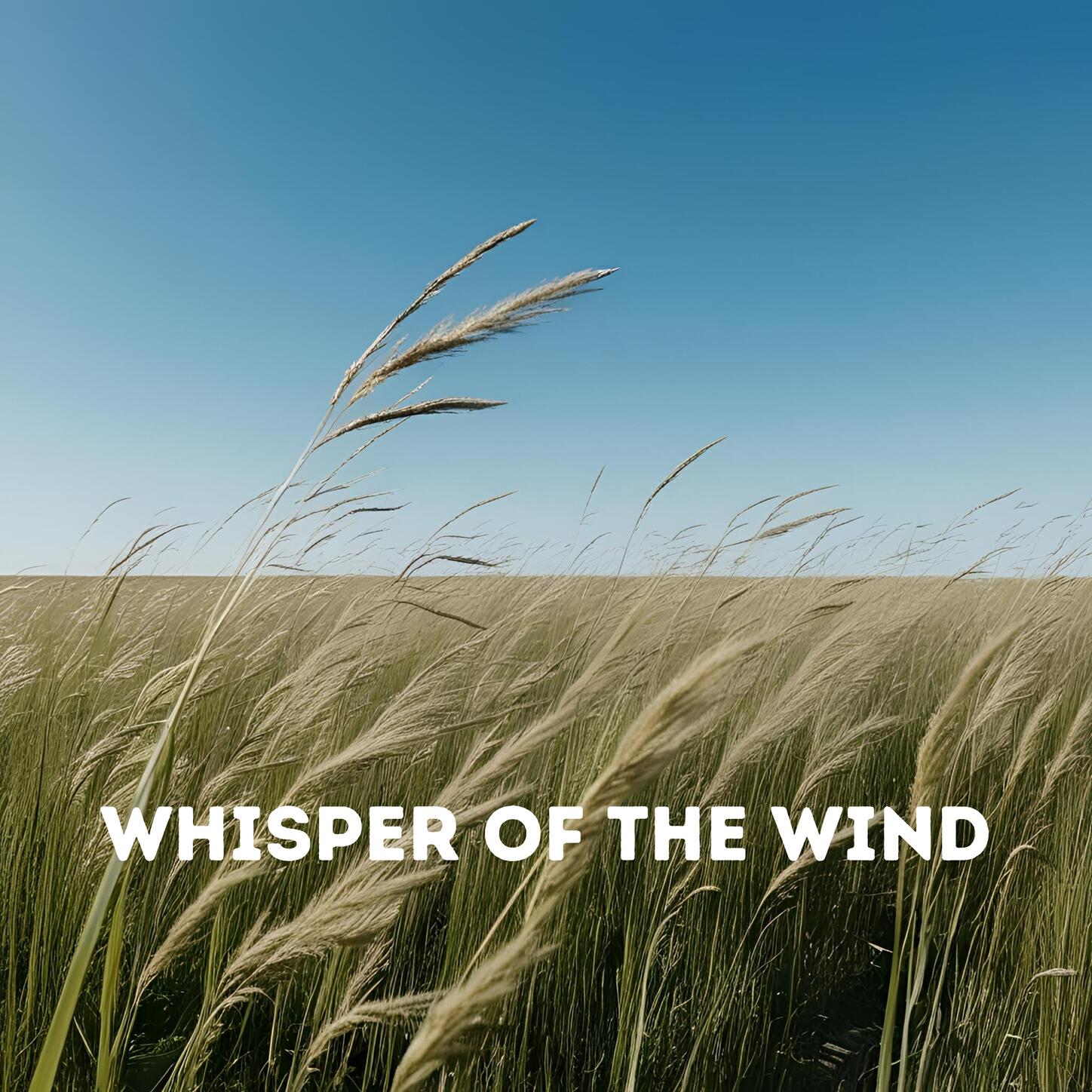 Релиз Whisper of the Wind