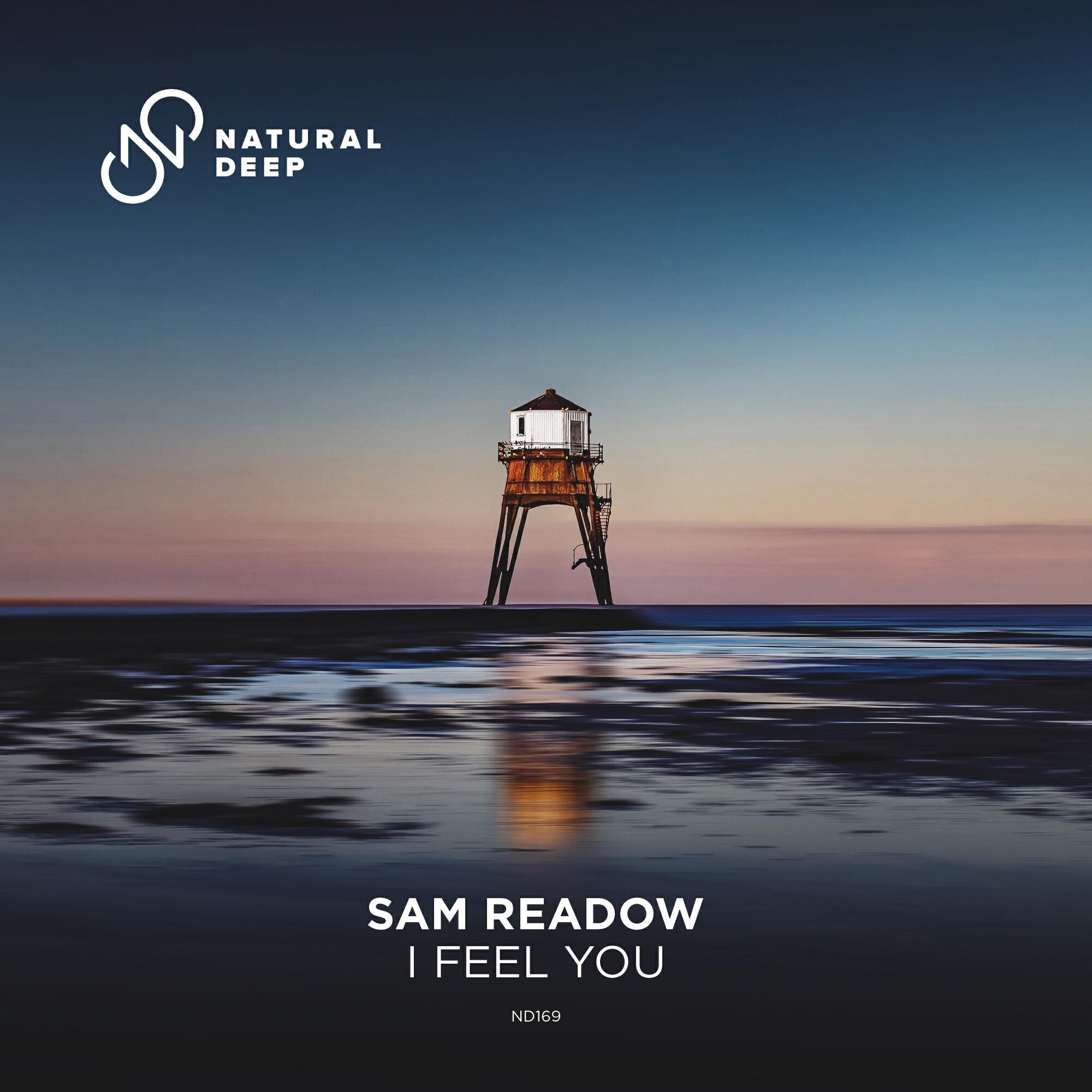 Релиз I Feel You