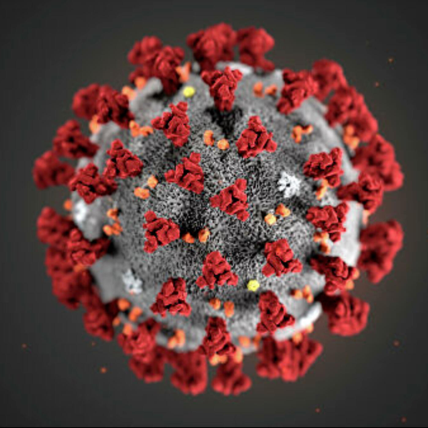 Постер альбома Corona Virus