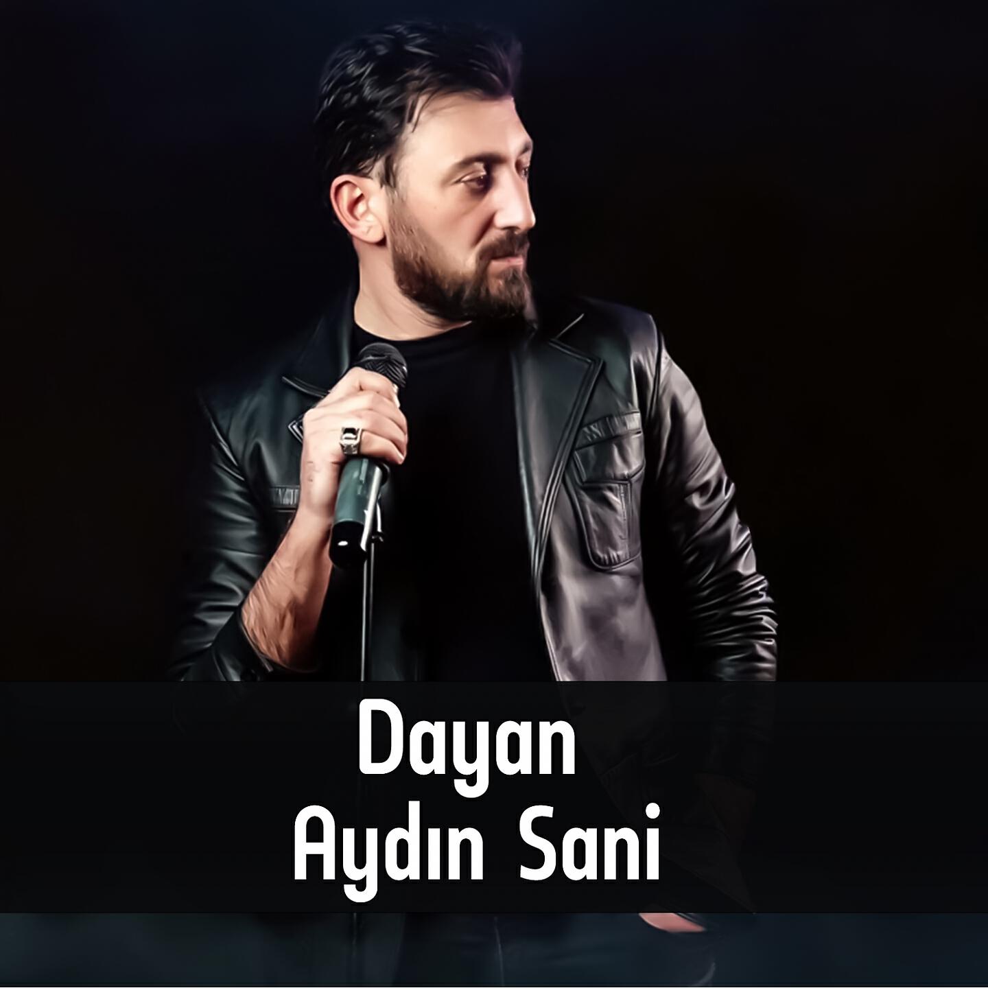 Релиз Dayan