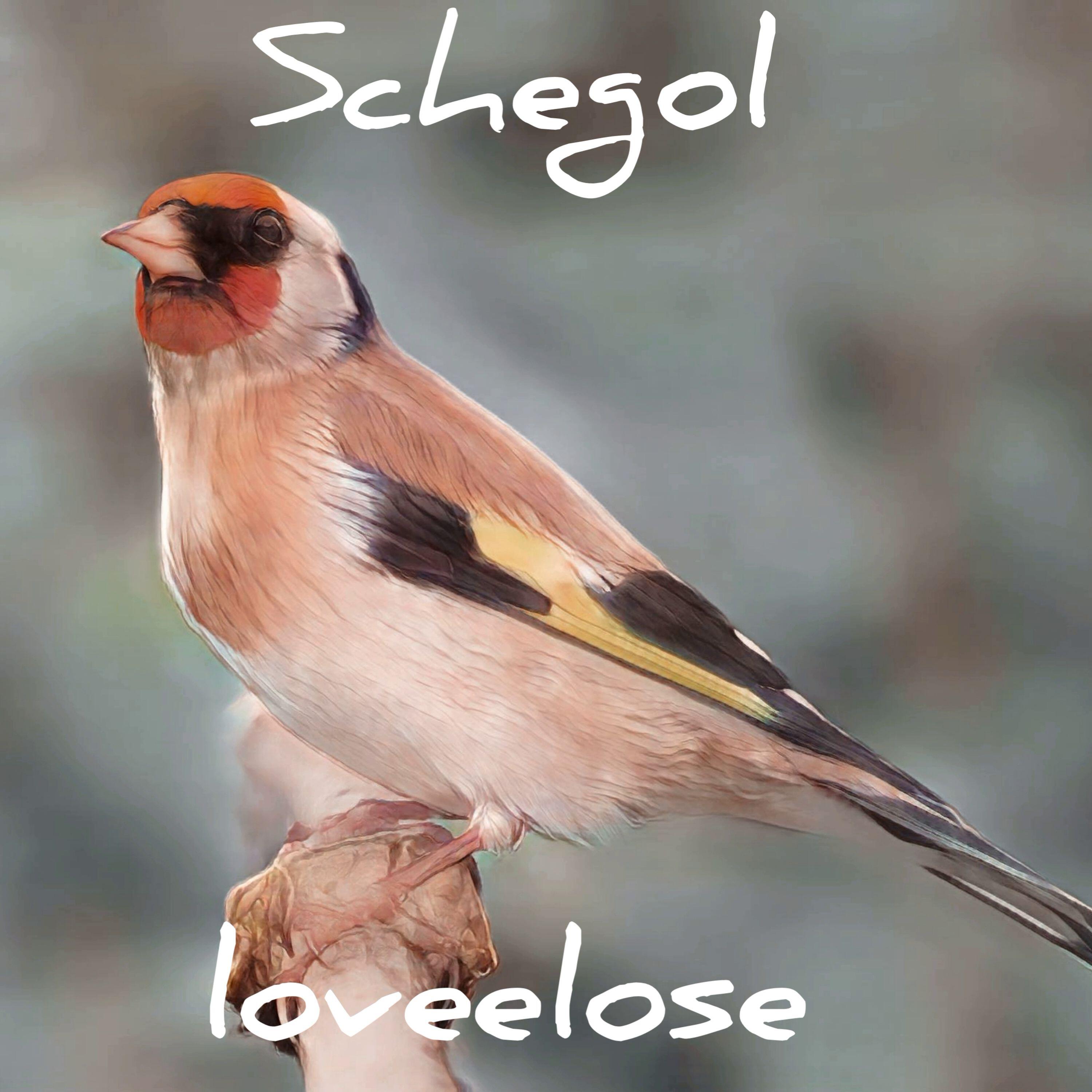 Релиз Schegol