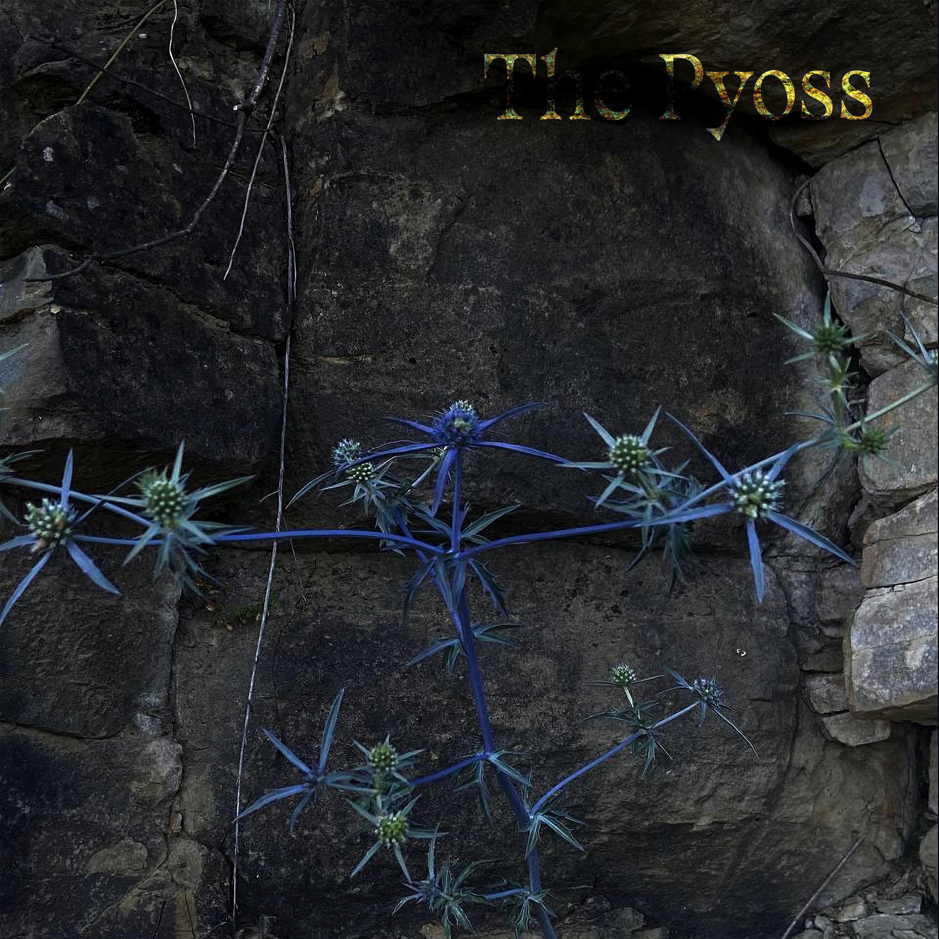 The Pyoss