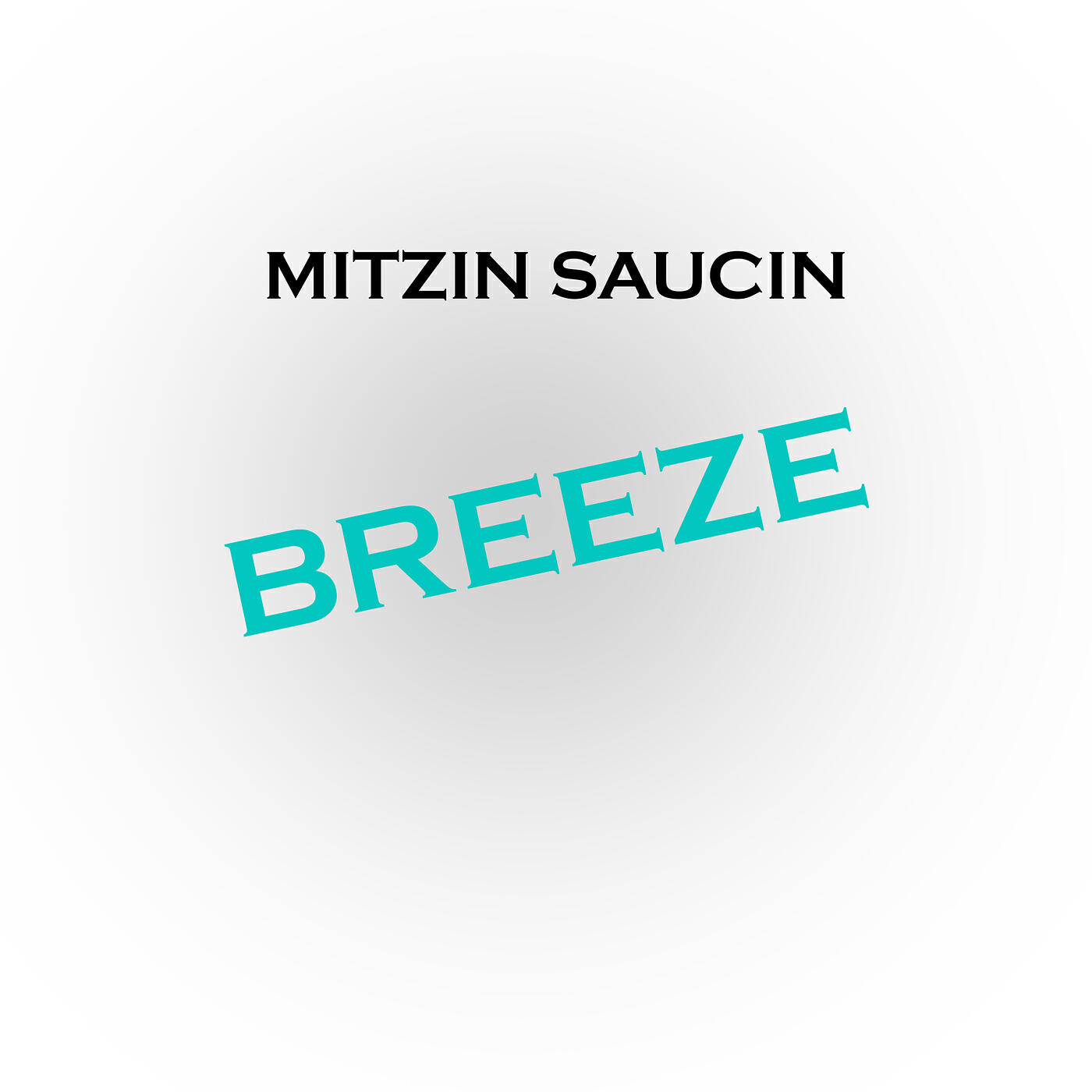 Mitzin Saucin