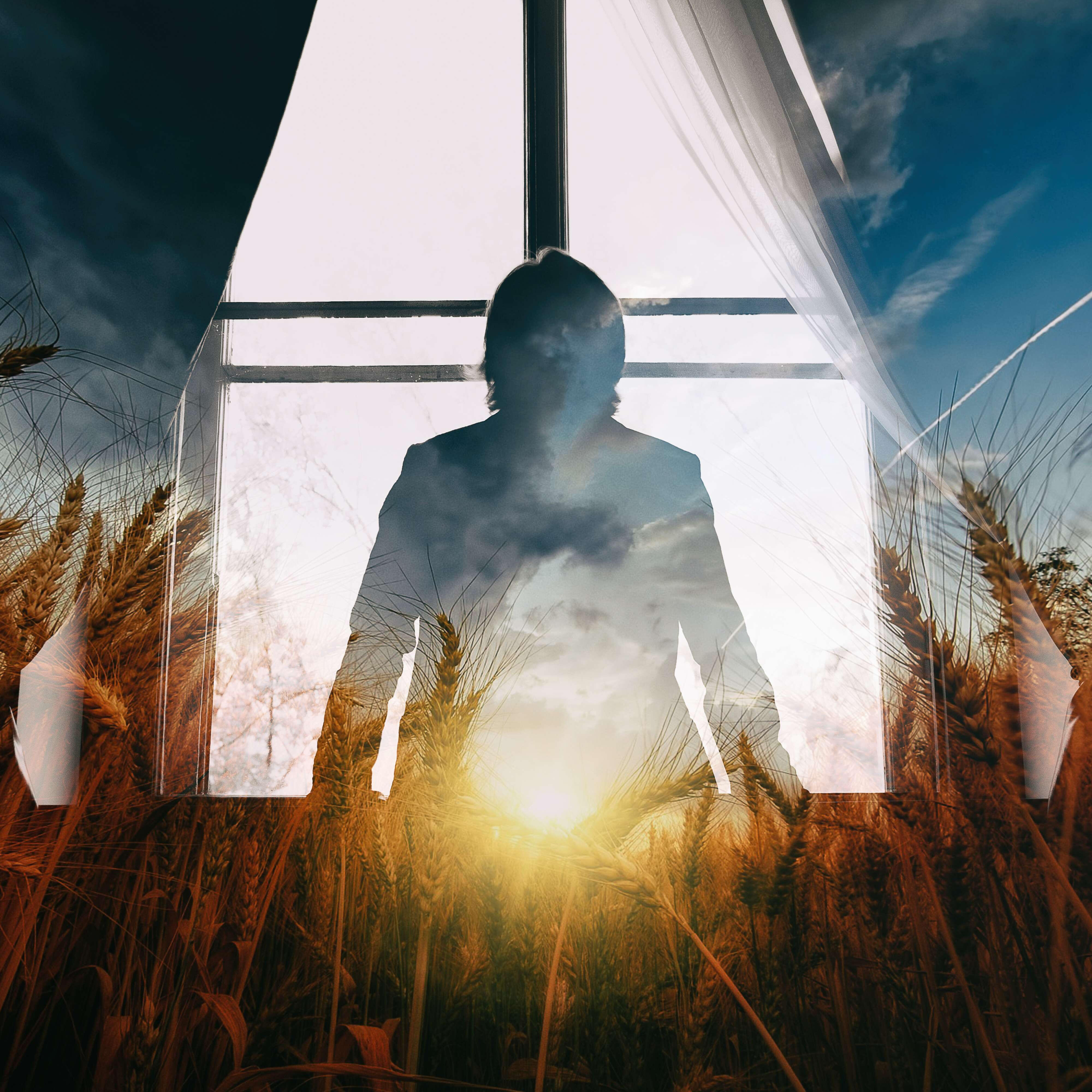 Релиз В золотых полях