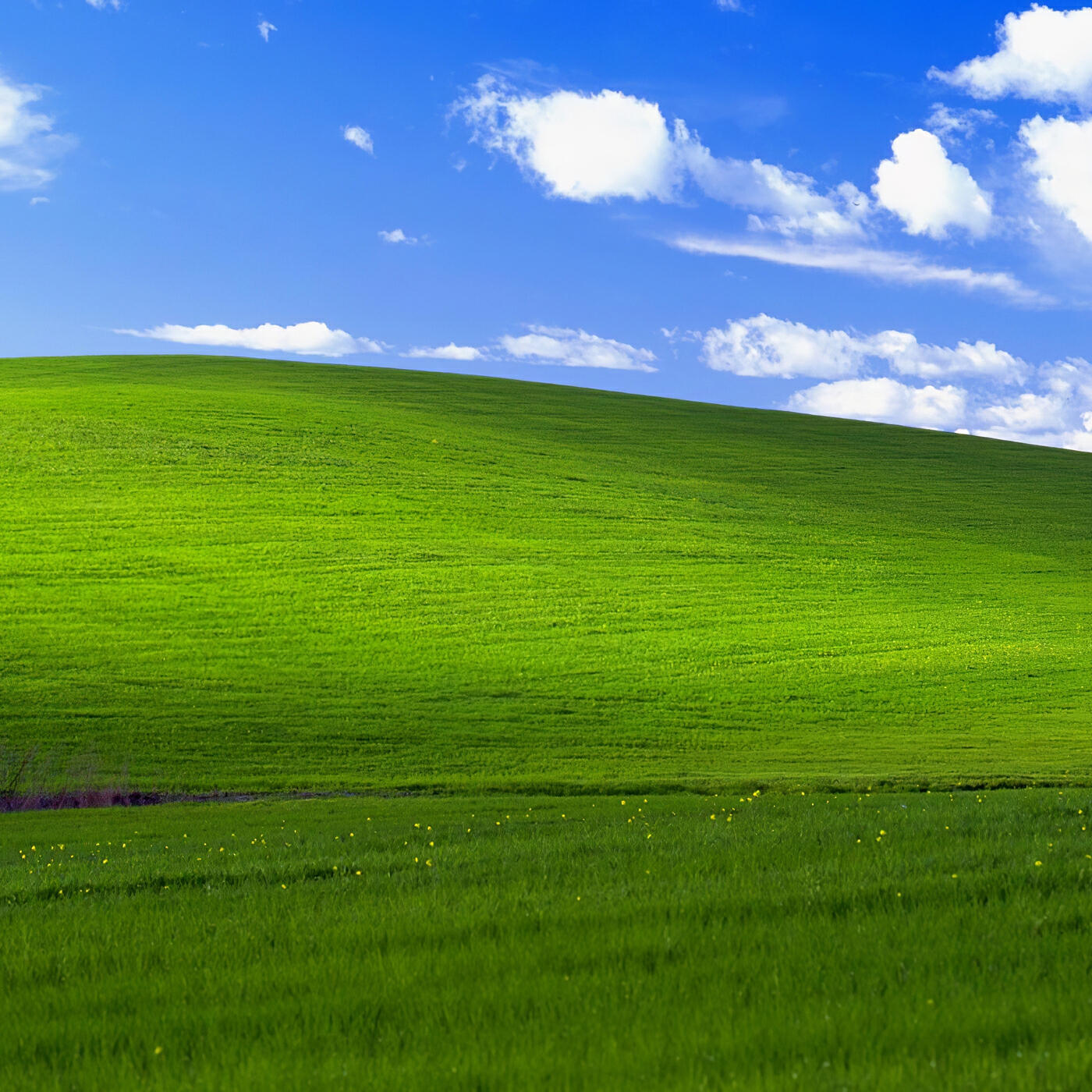 Релиз Windows Breakcore