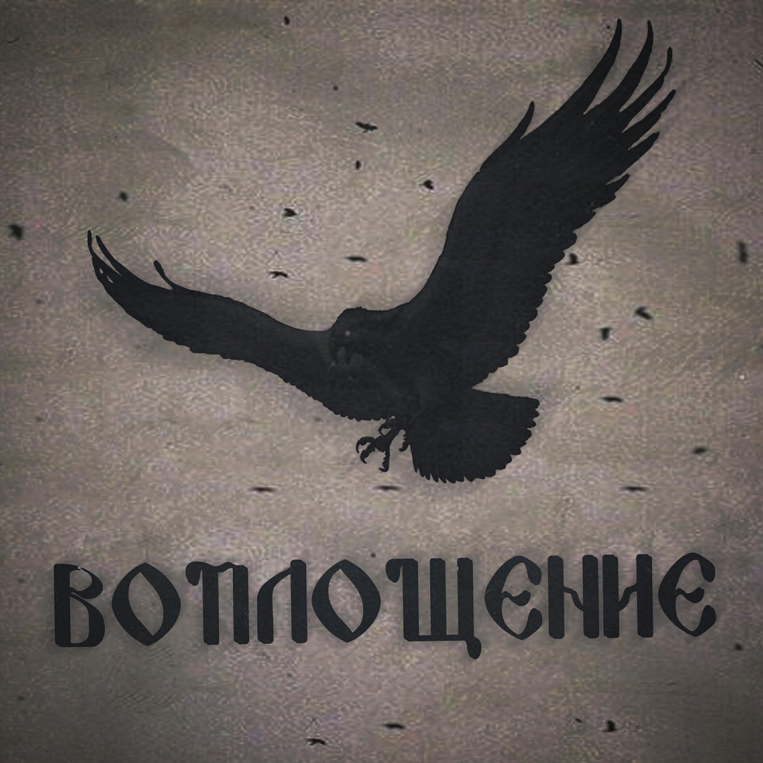 Чёрный Сокол